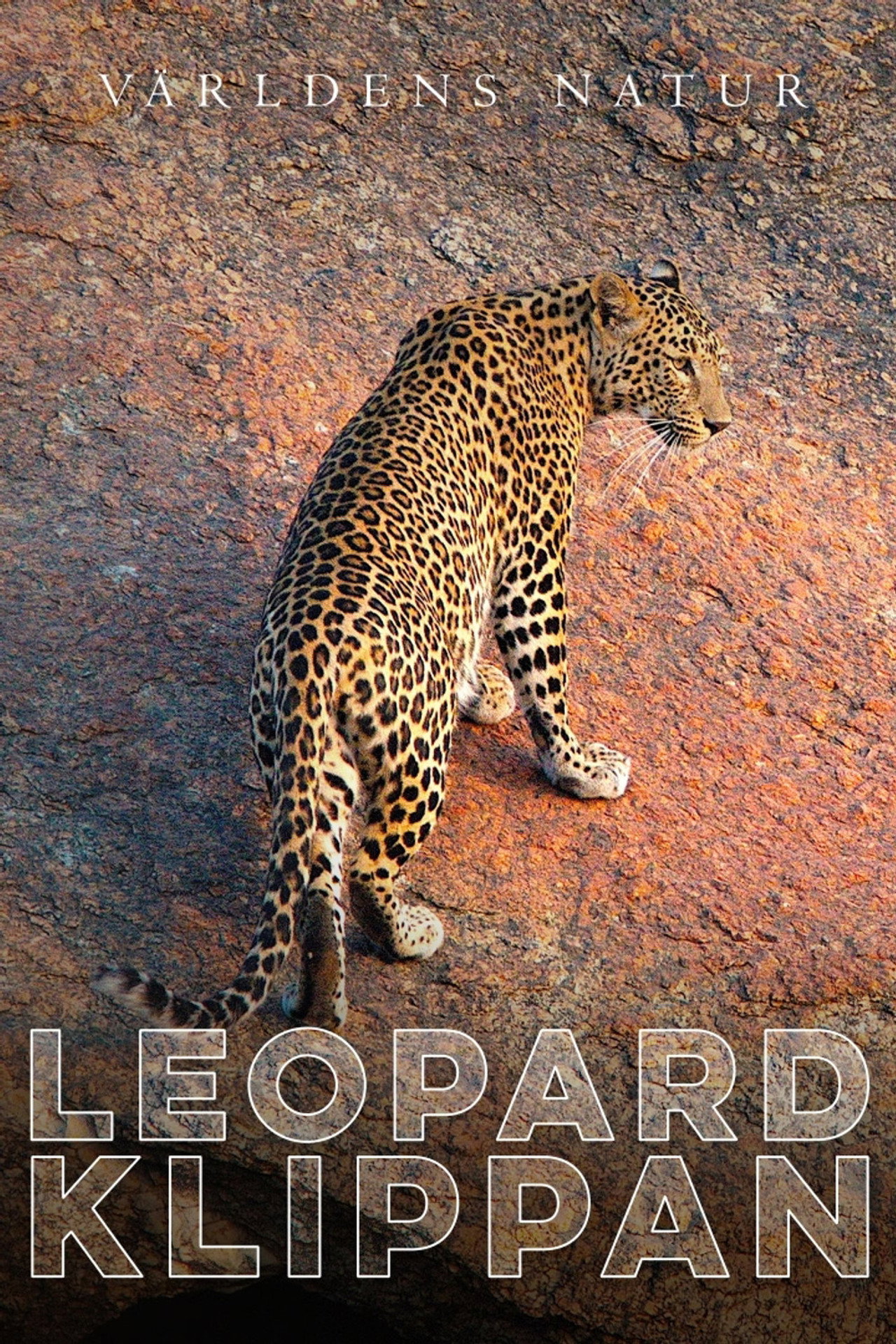 Leopardklippan filmaffisch