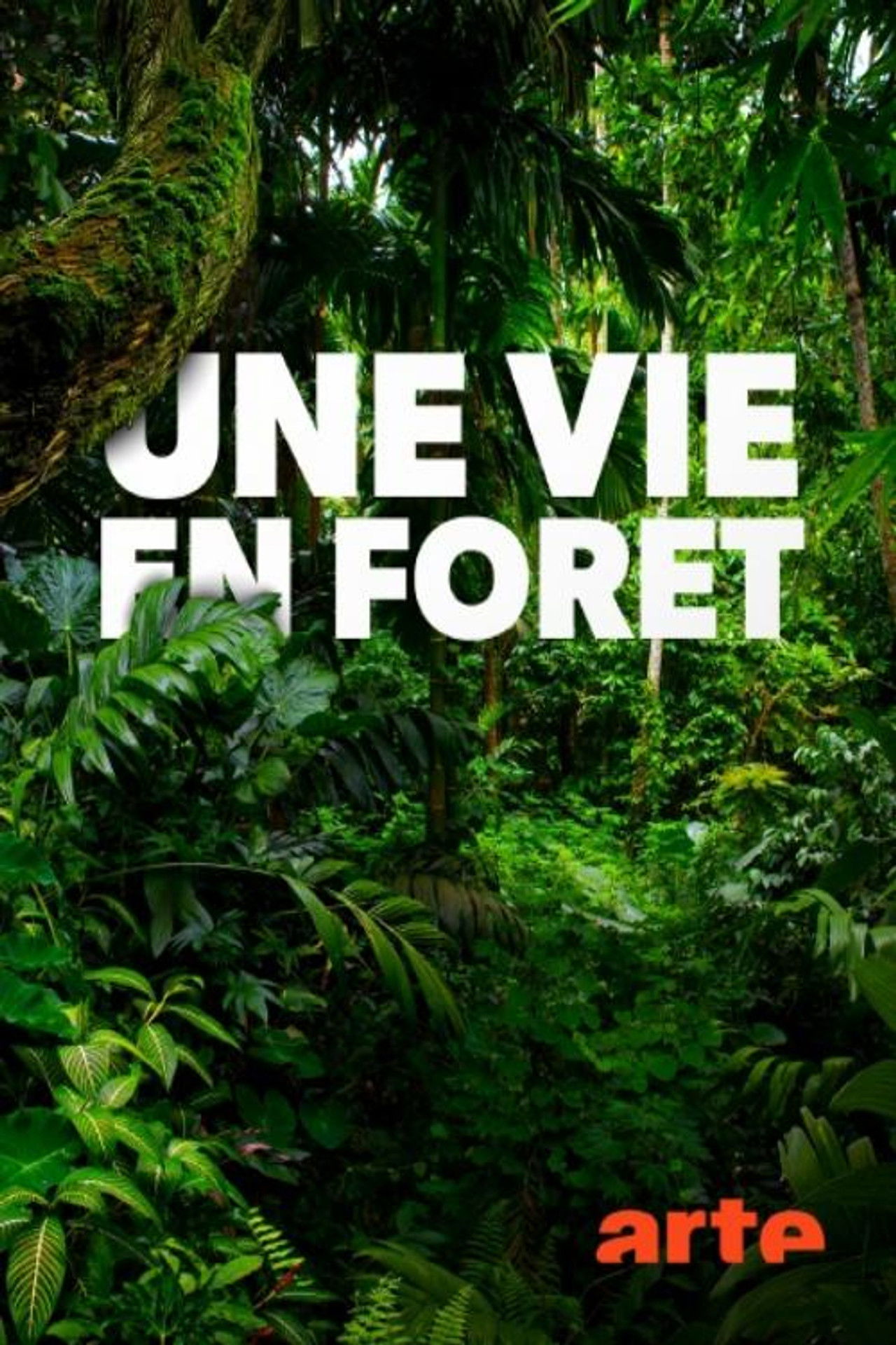 Une vie en forêt Backdrop