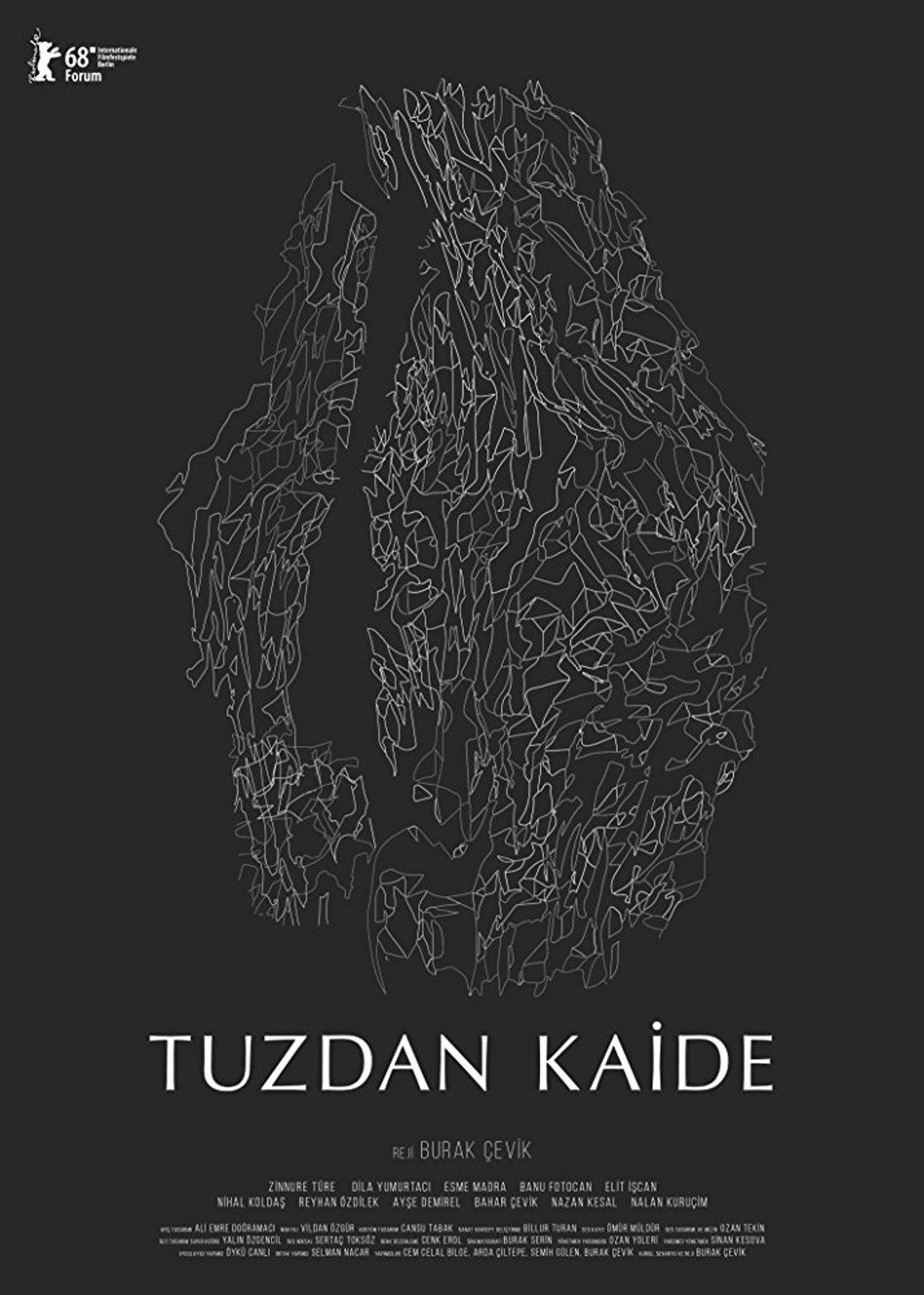 Tuzdan Kaide filmaffisch