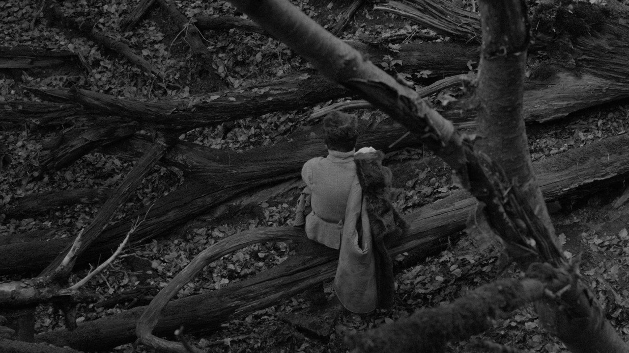 Galerie du film — 25