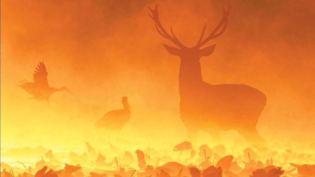 Gemenc – The World of Floodplains backdrop