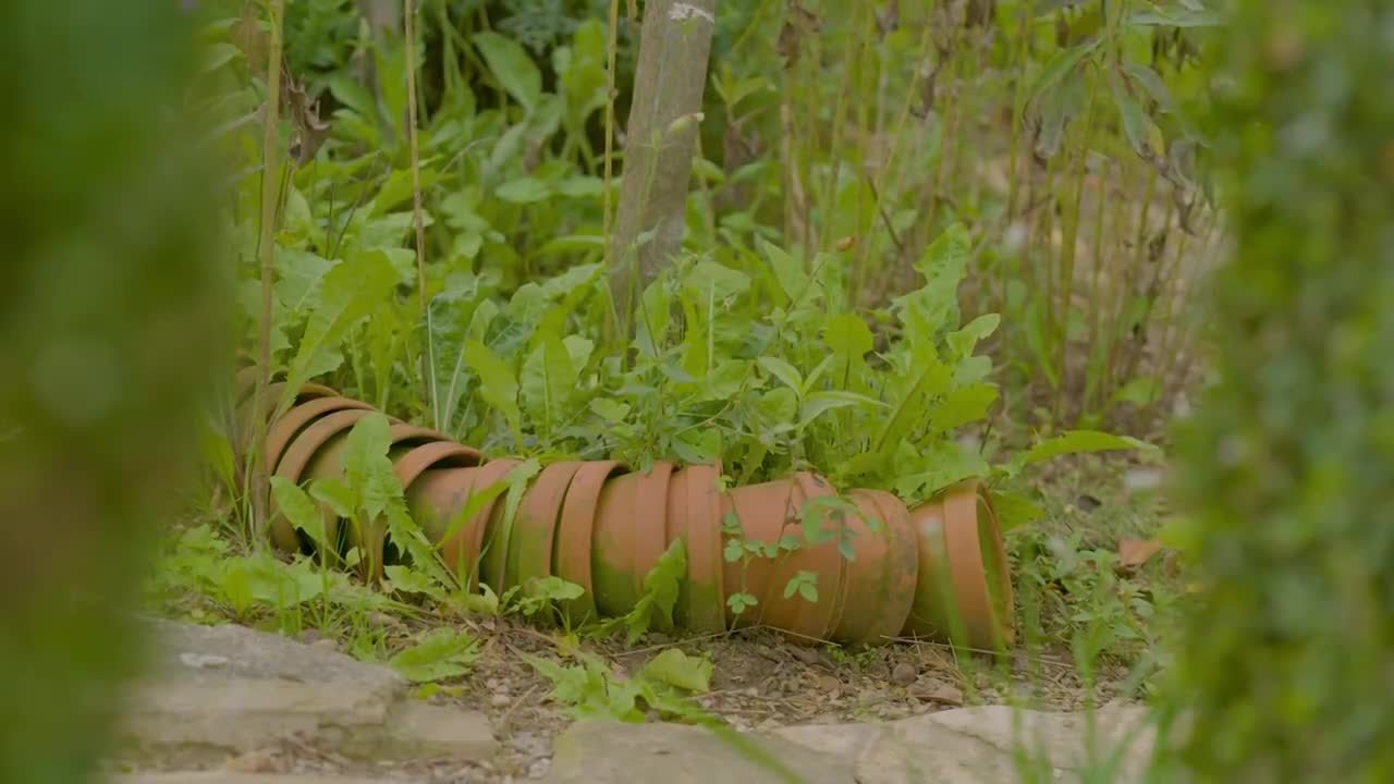 Natur im Garten - Season 25 Episode 16 : Episode 16