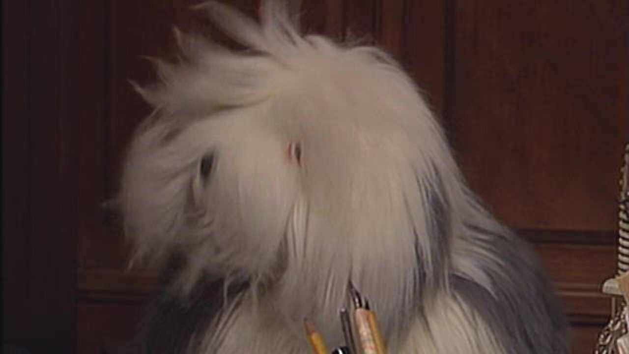 Samson & Gert - Season 4 Episode 66 : Episode 66
