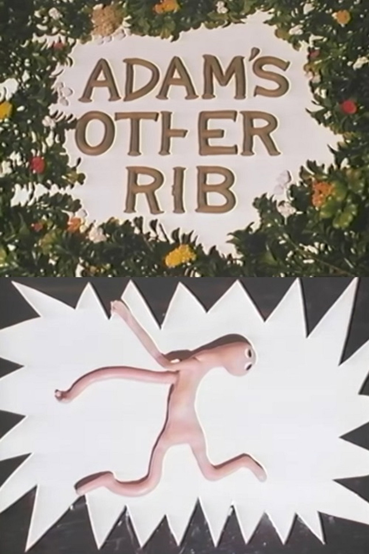 Adam's Other Rib poster