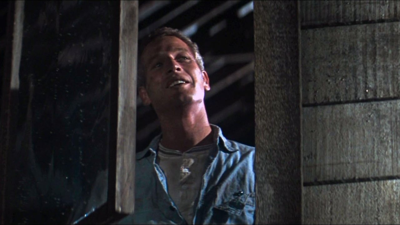 Cool Hand Luke (1967)