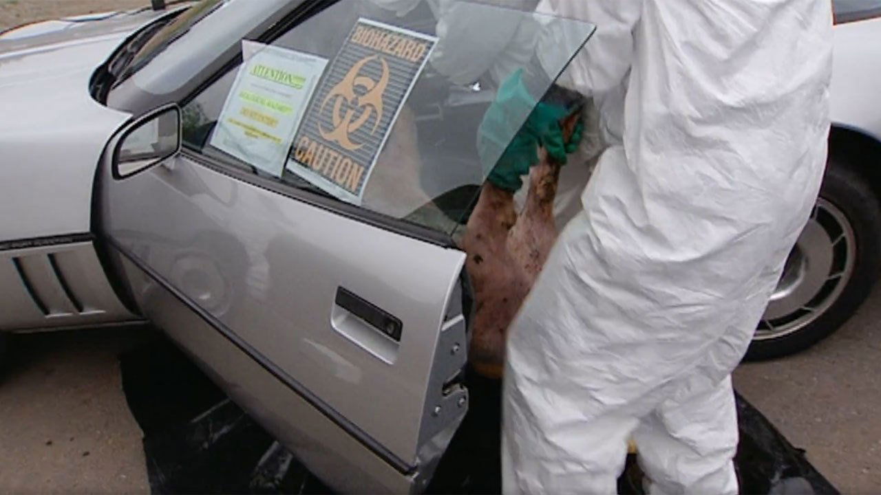 MythBusters - Season 1 Episode 10 : Stinky Car