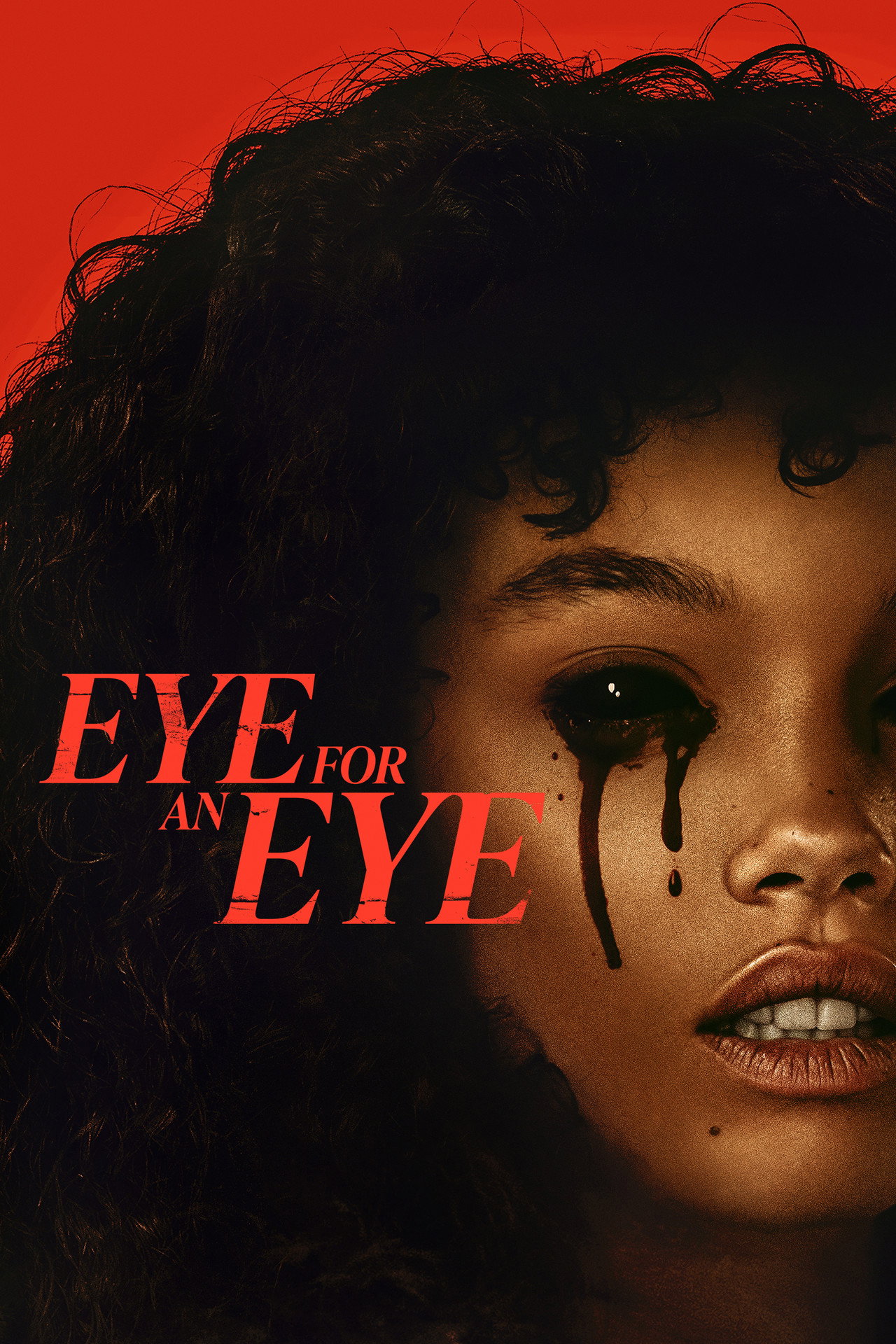 Eye for an Eye 2025 Dual Audio Hindi ORG 1080p 720p 480p WEB-DL x264 ESubs