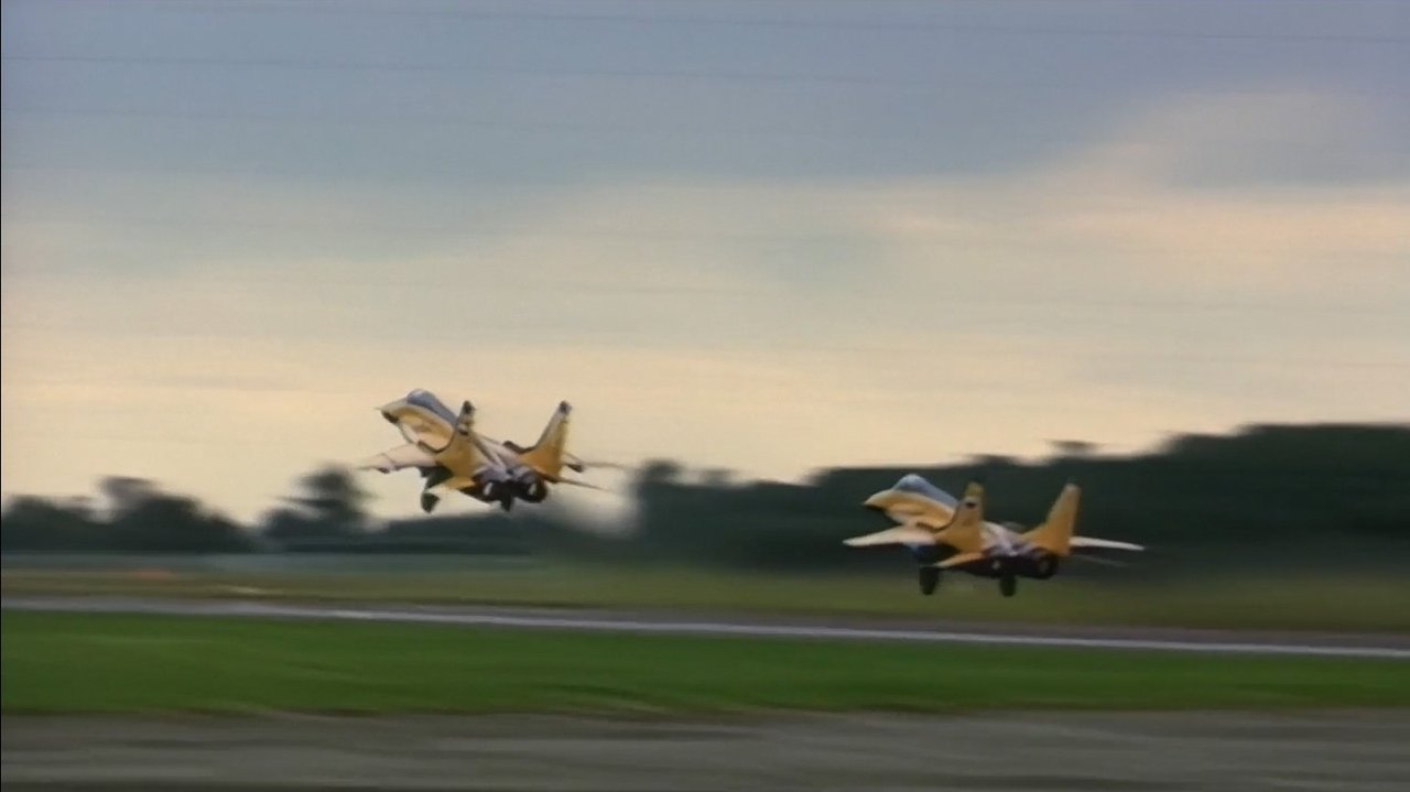 Os vídeos policiais mais selvagens backdrop