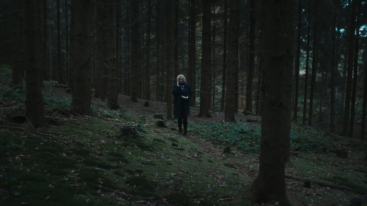 Wäldern still 6