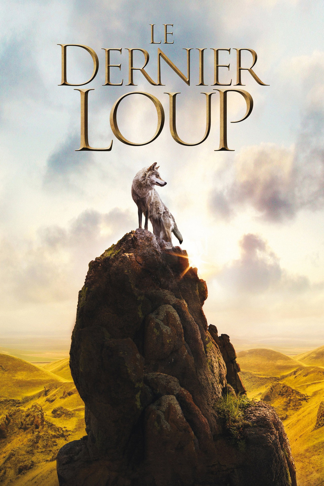 Le dernier loup poster