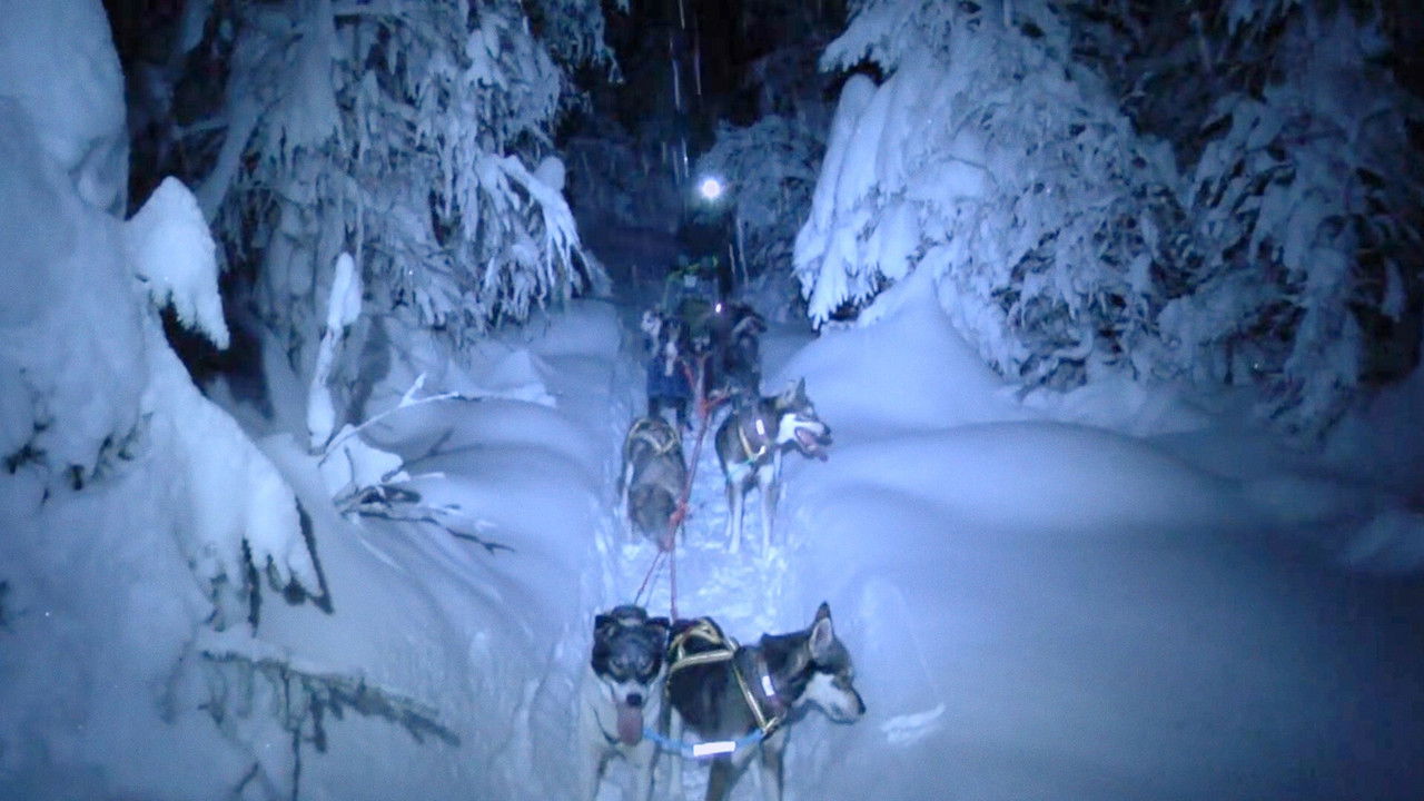 Monsen og hundene — Épisode 1