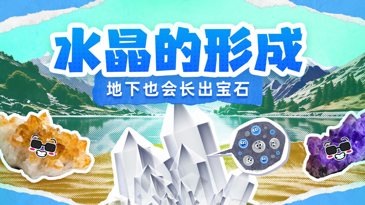 斑马百科探索 — Épisode 9