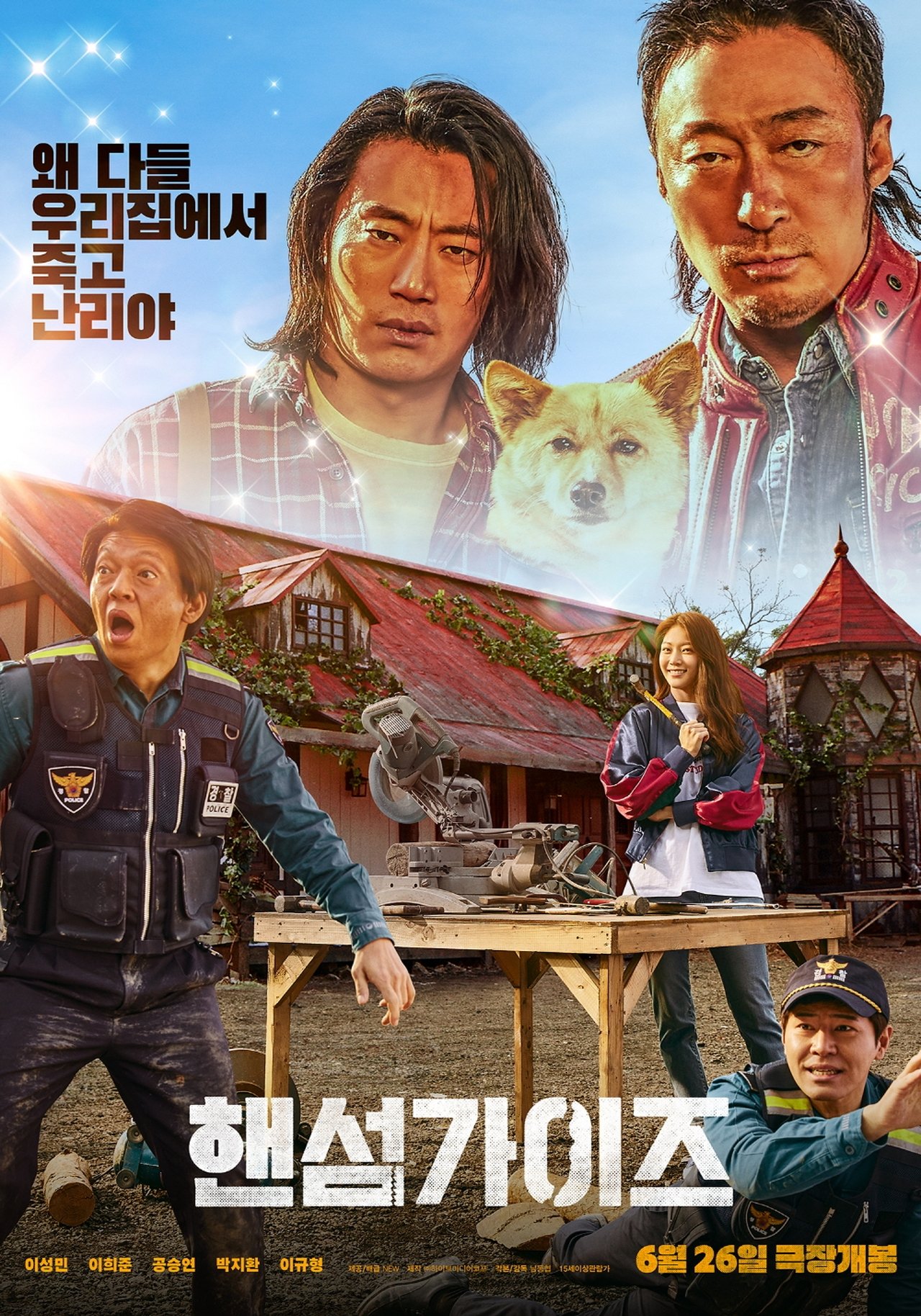Handsome Guys poster