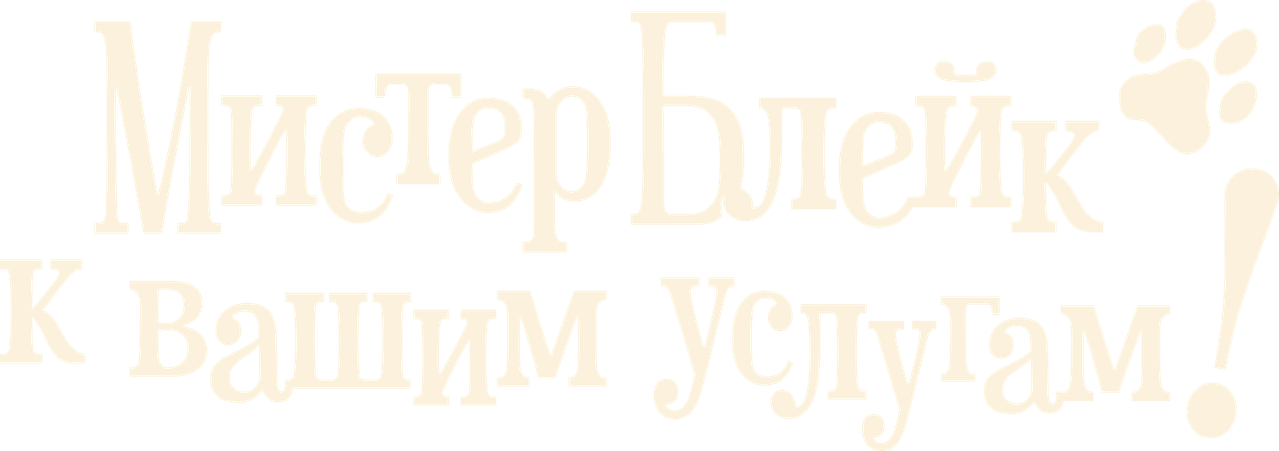 Мистер Блейк к вашим услугам!