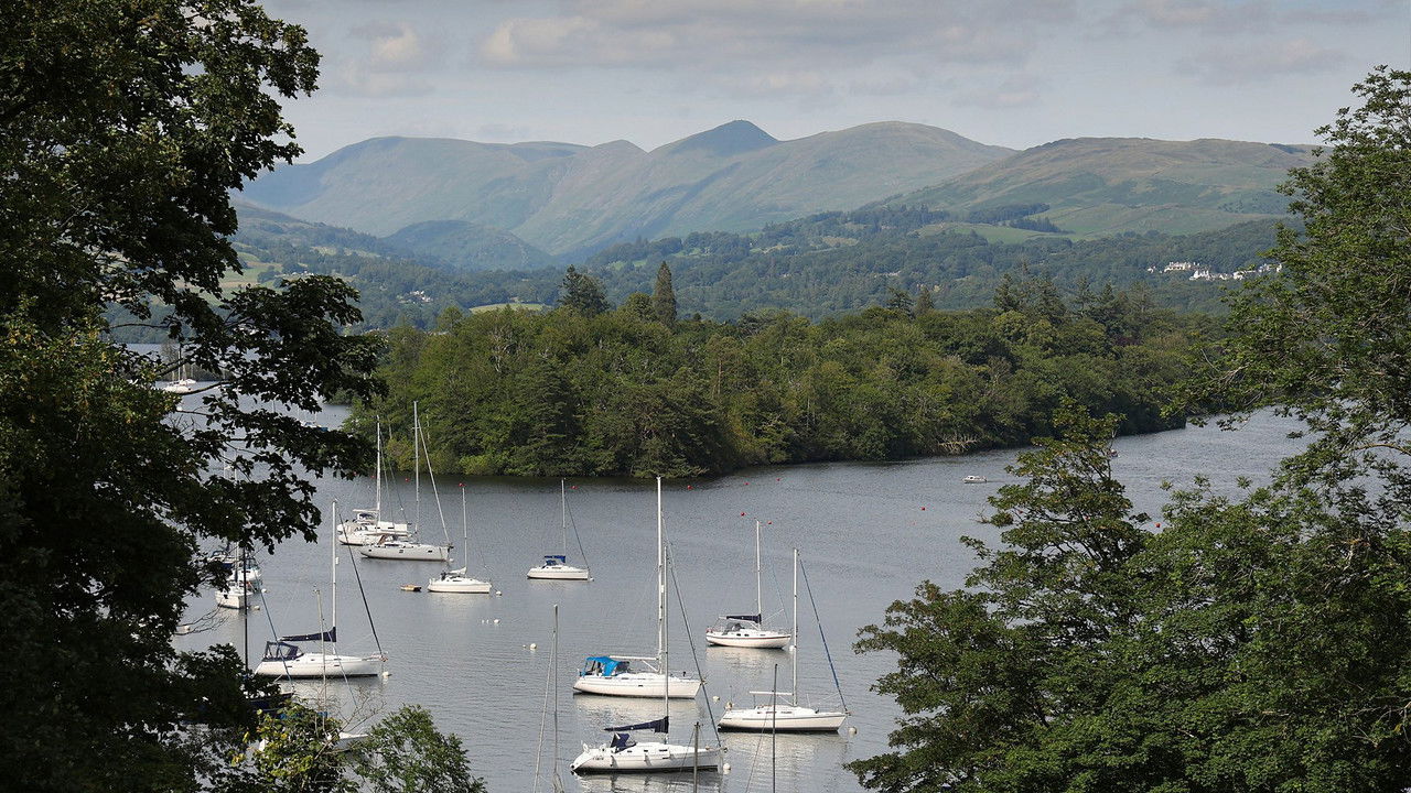 The Elephant in the Lake