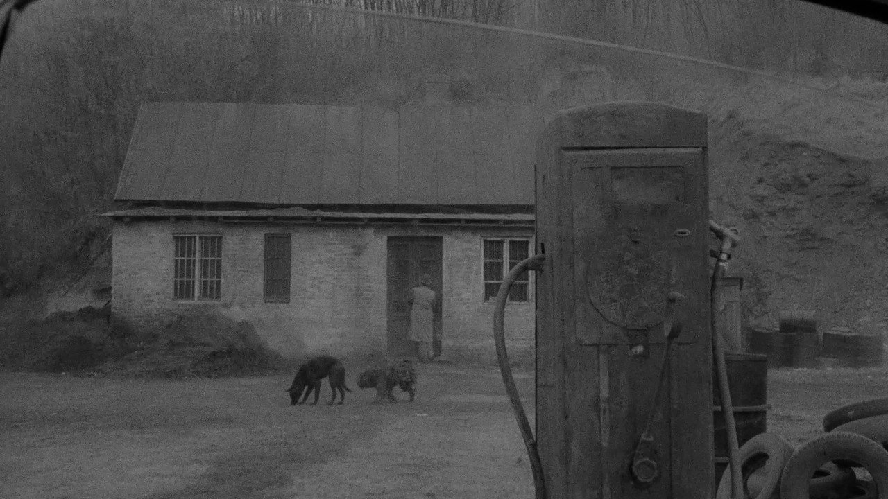 scenes 14