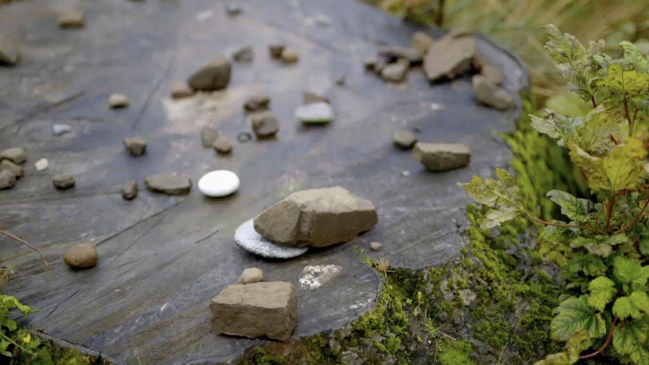 The Sycamore Gap Mystery - Season 1 Episode 2 : Episode 2