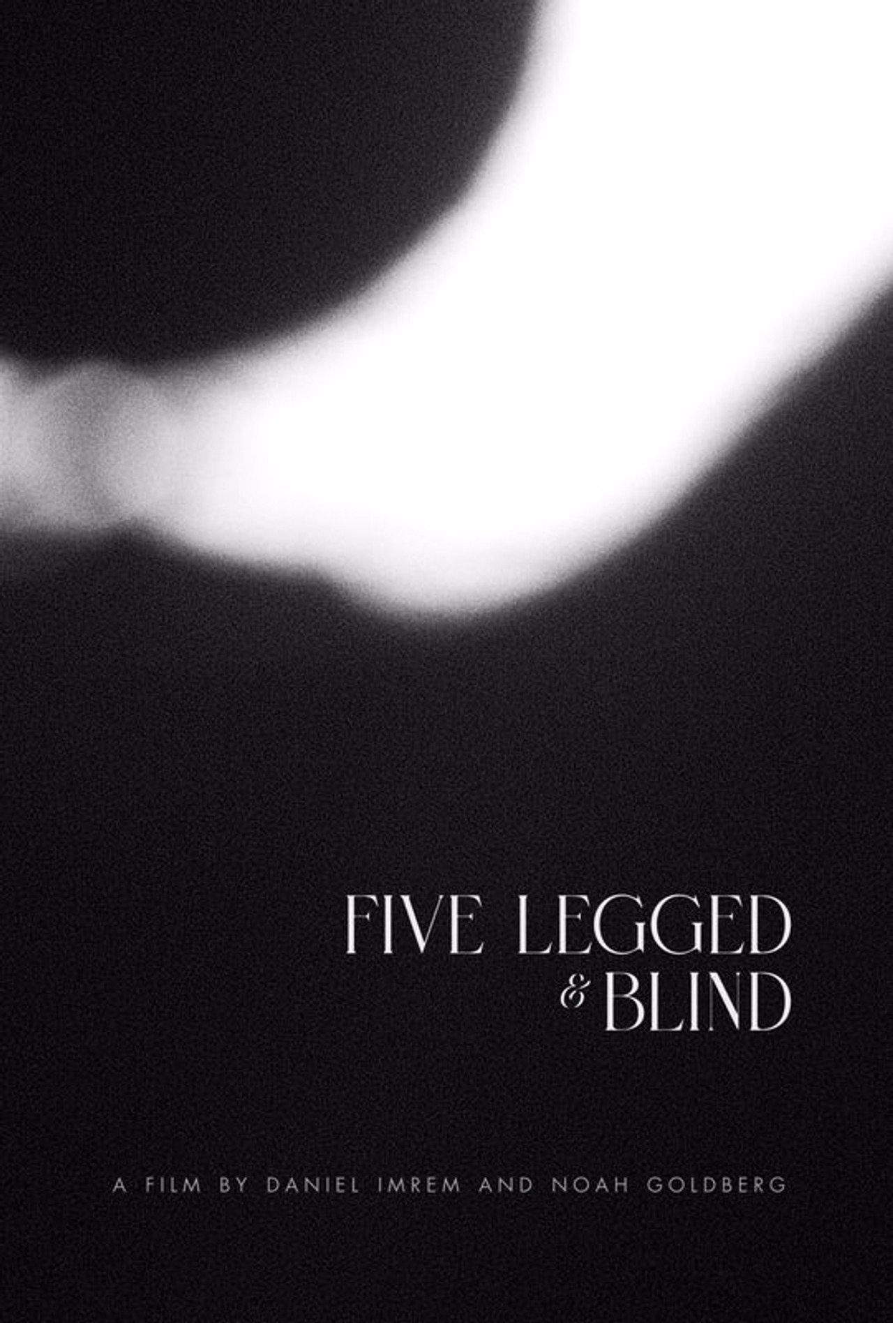 Five Legged & Blind filmaffisch
