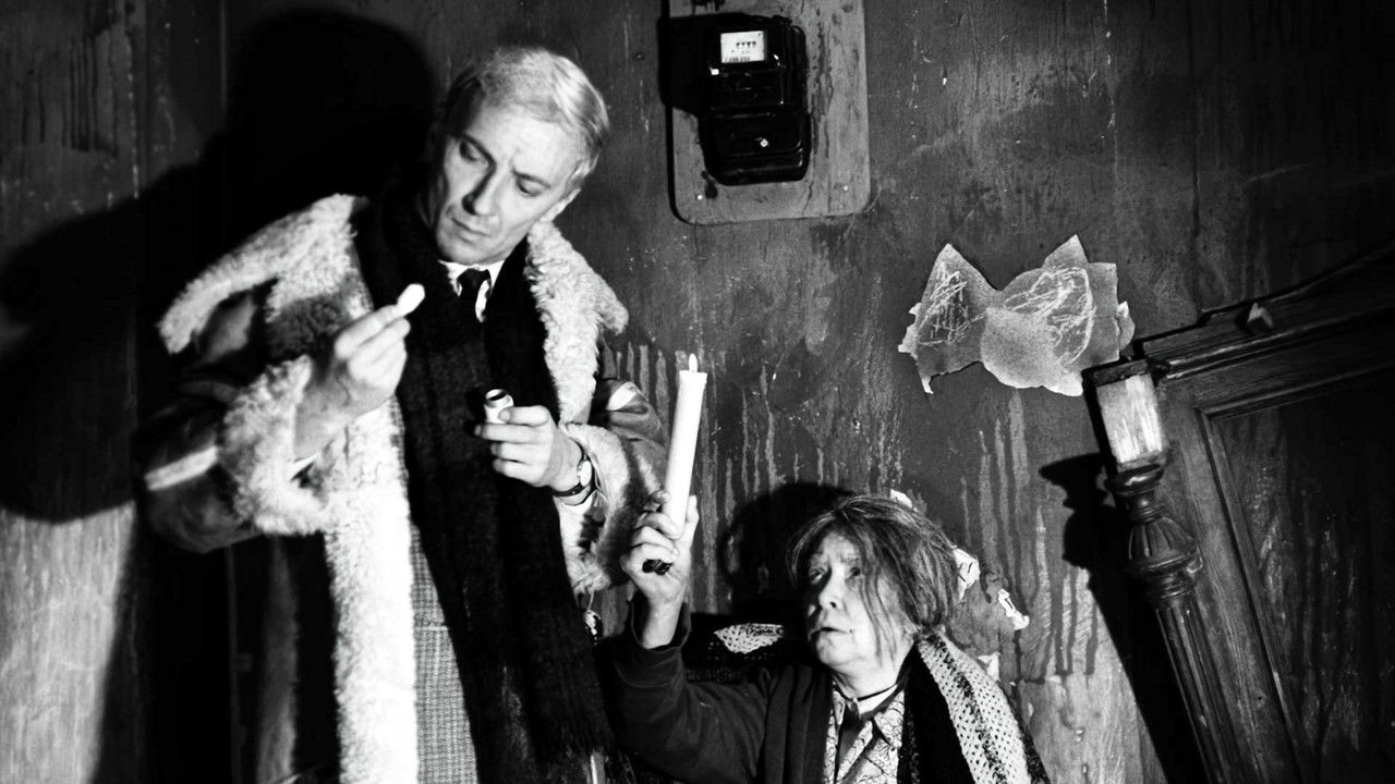 Christmas Eve backdrop