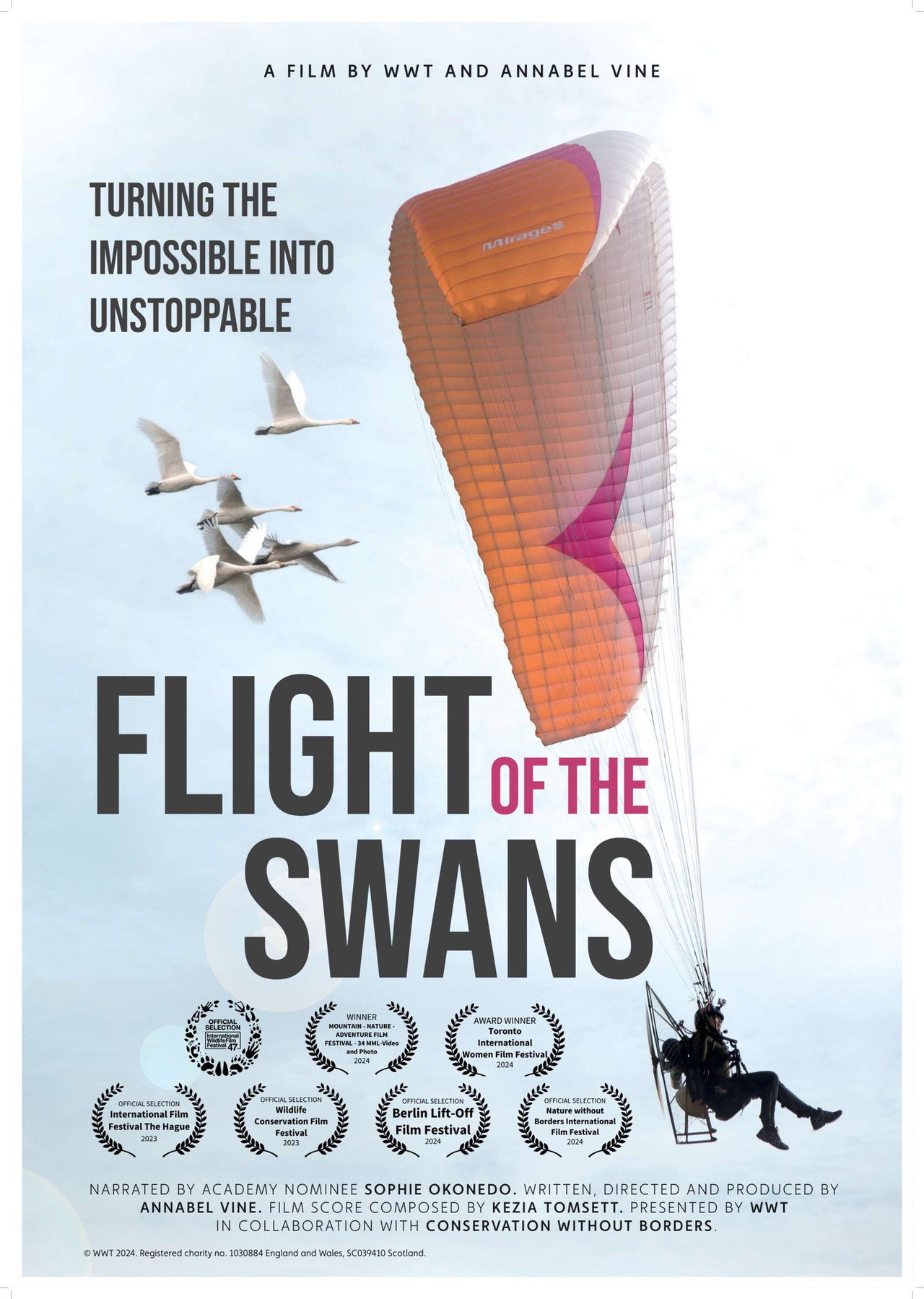 Flight of the Swans
