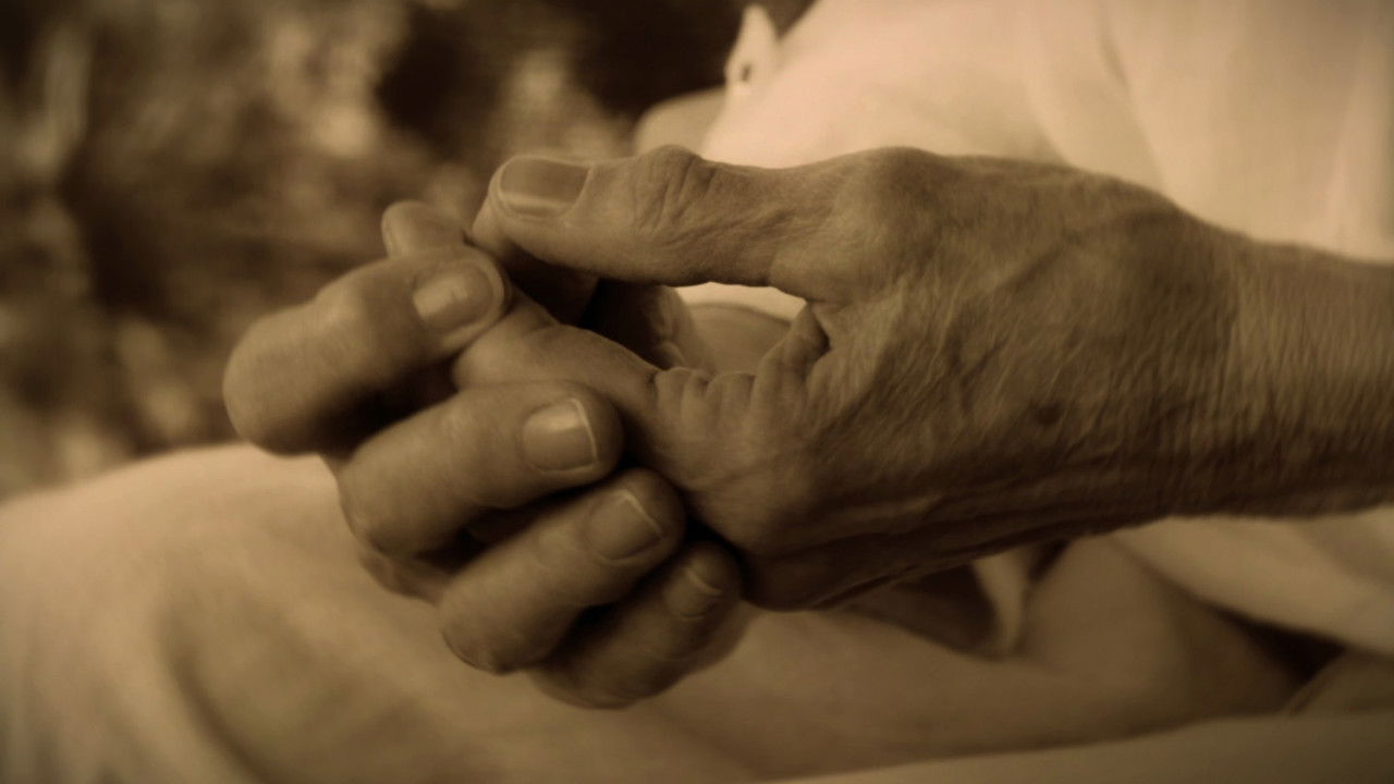 Me Erën dhe Lulet backdrop