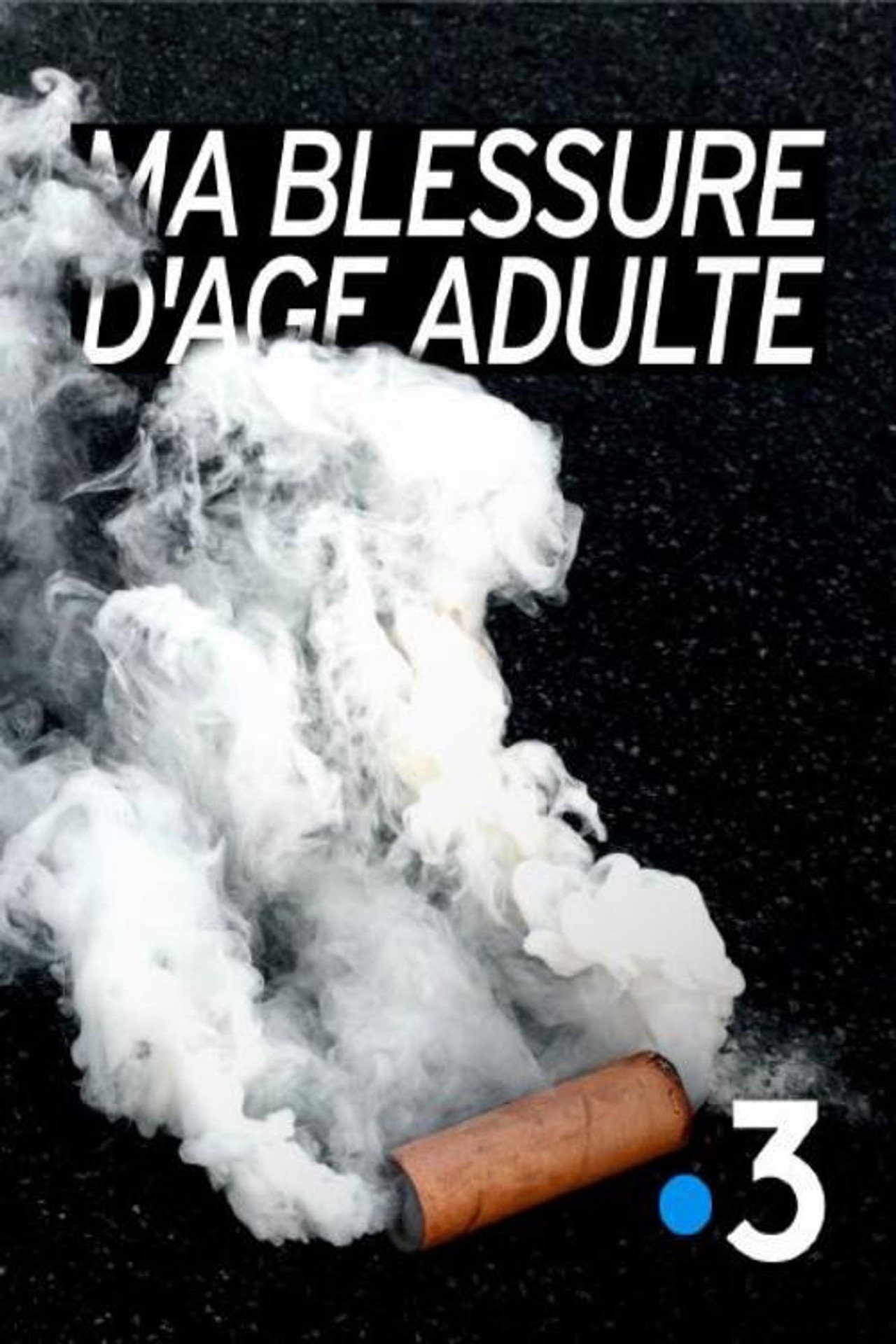 Ma blessure d'âge adulte filmaffisch