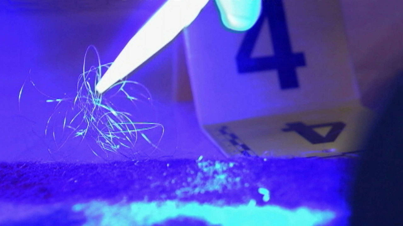 Forensic Firsts — Épisode 5