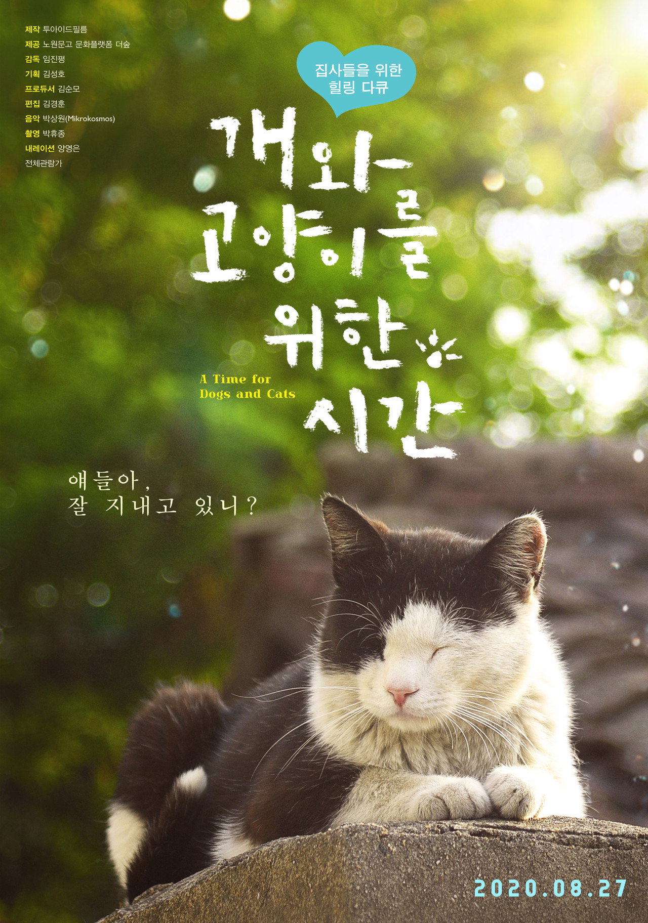 개와 고양이를 위한 시간 filmaffisch