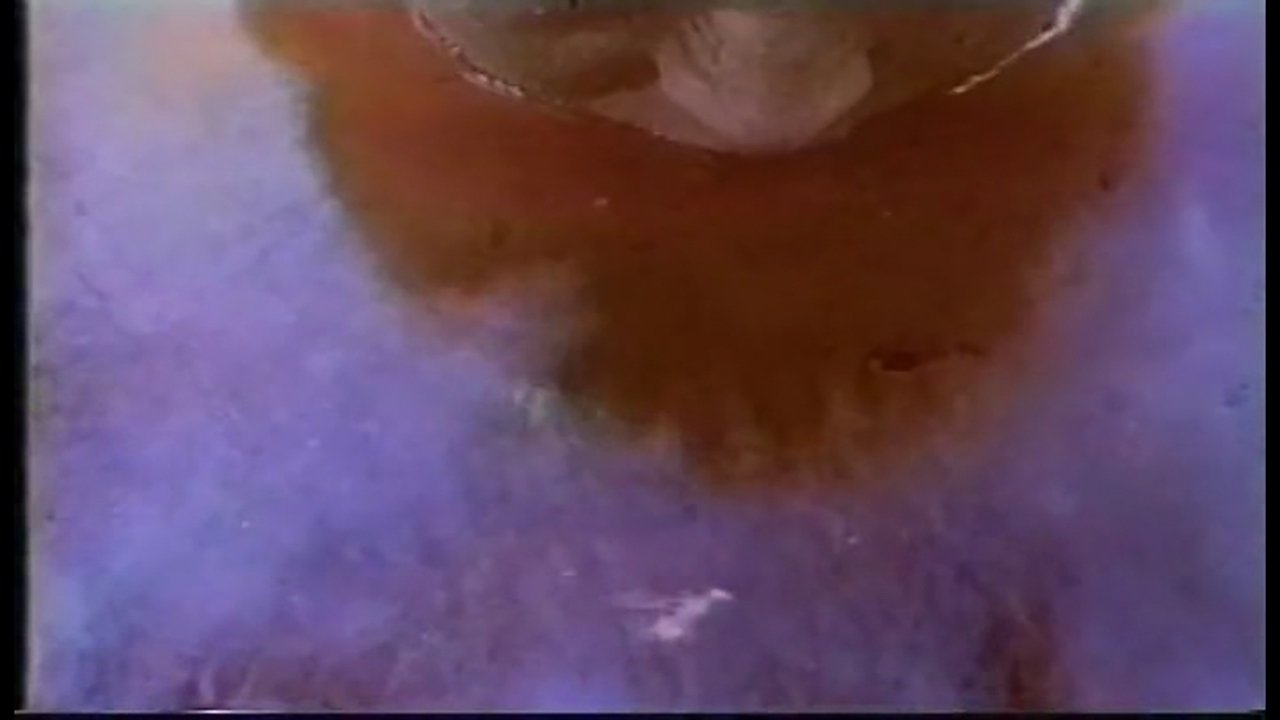 Like a Wave in the Sea