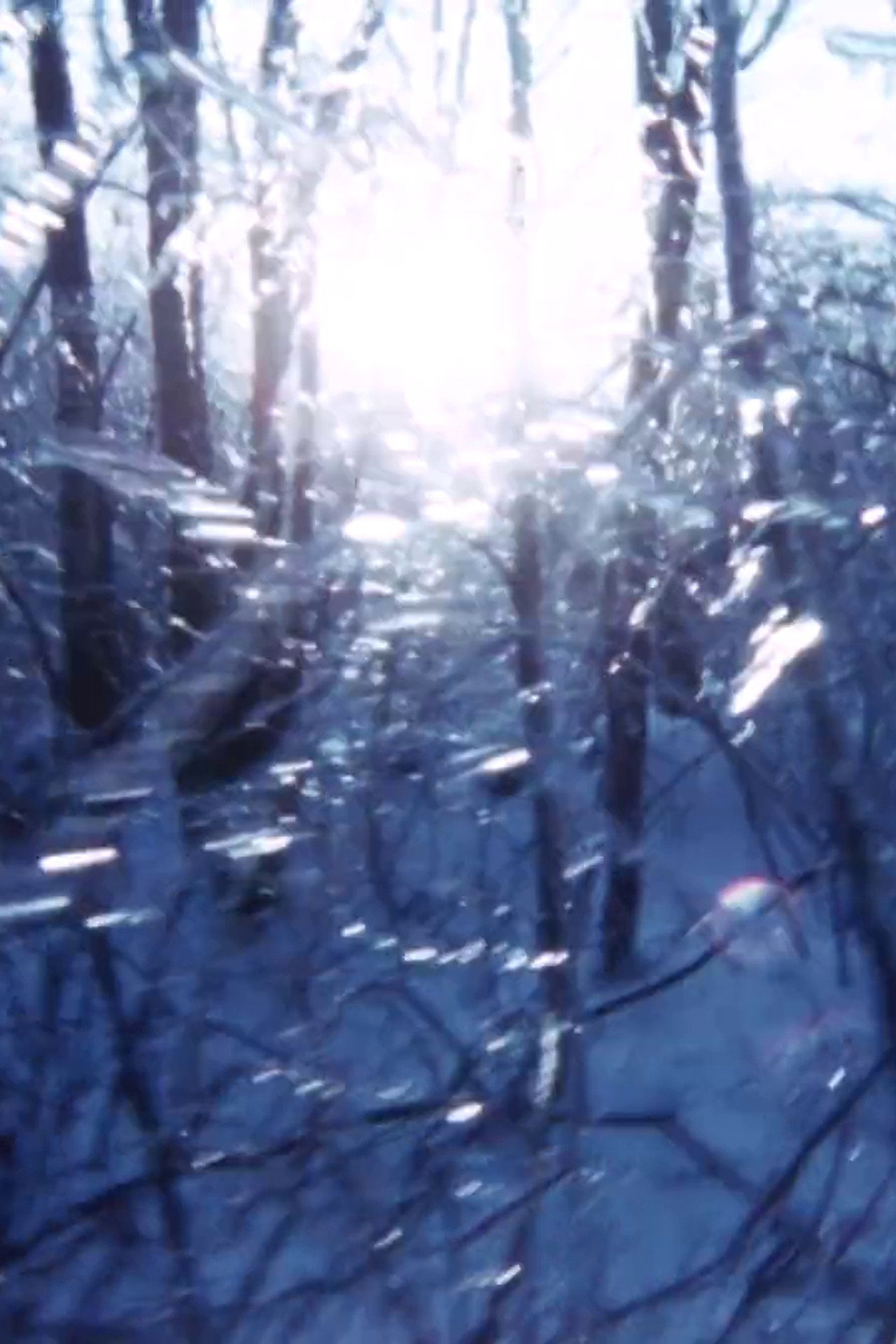 Third Law of Thermodynamics filmaffisch