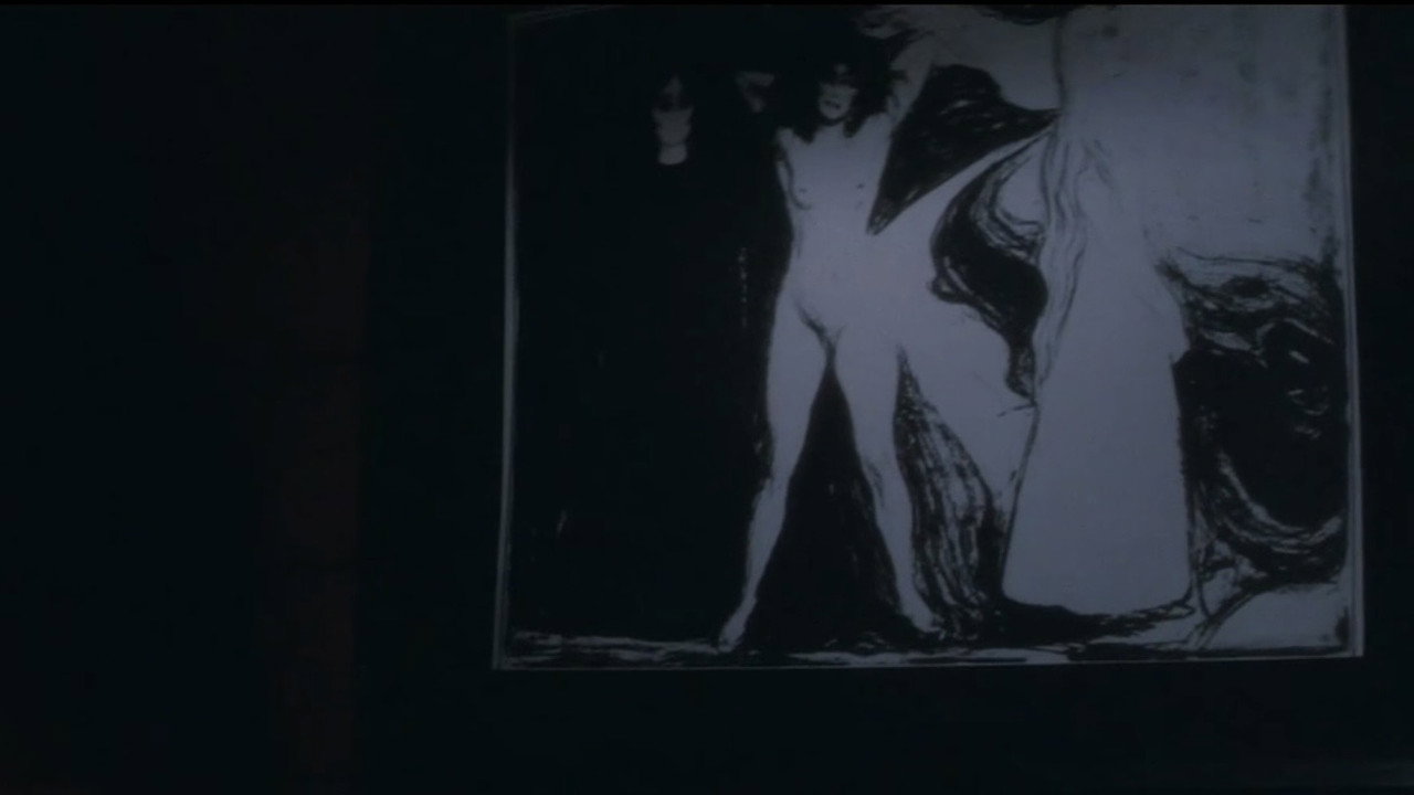 Butterfly Web backdrop