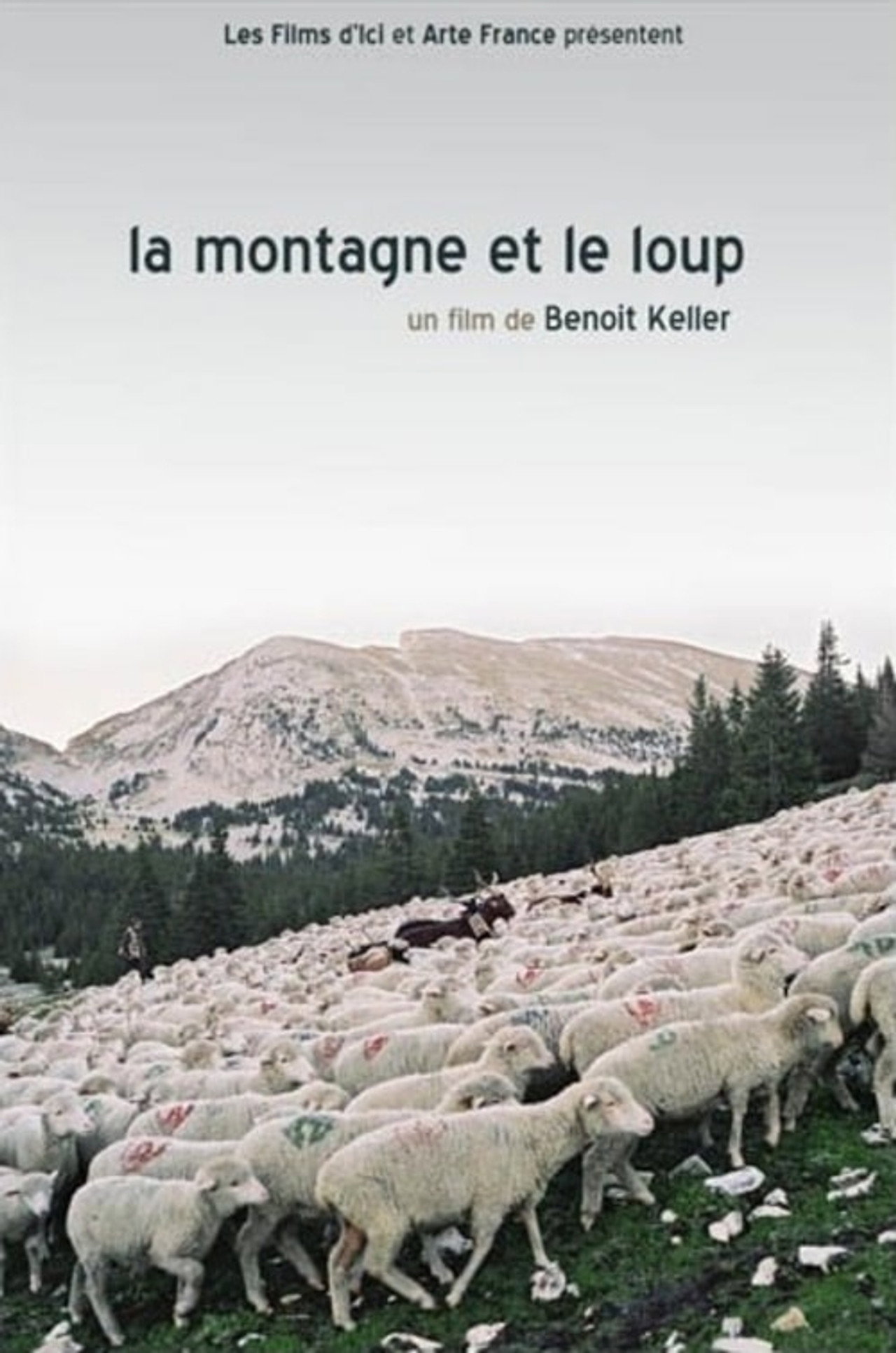 La Montagne et le Loup (2006)