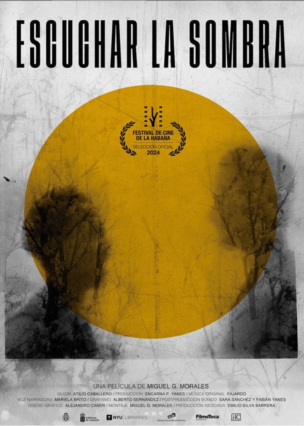 Escuchar la sombra