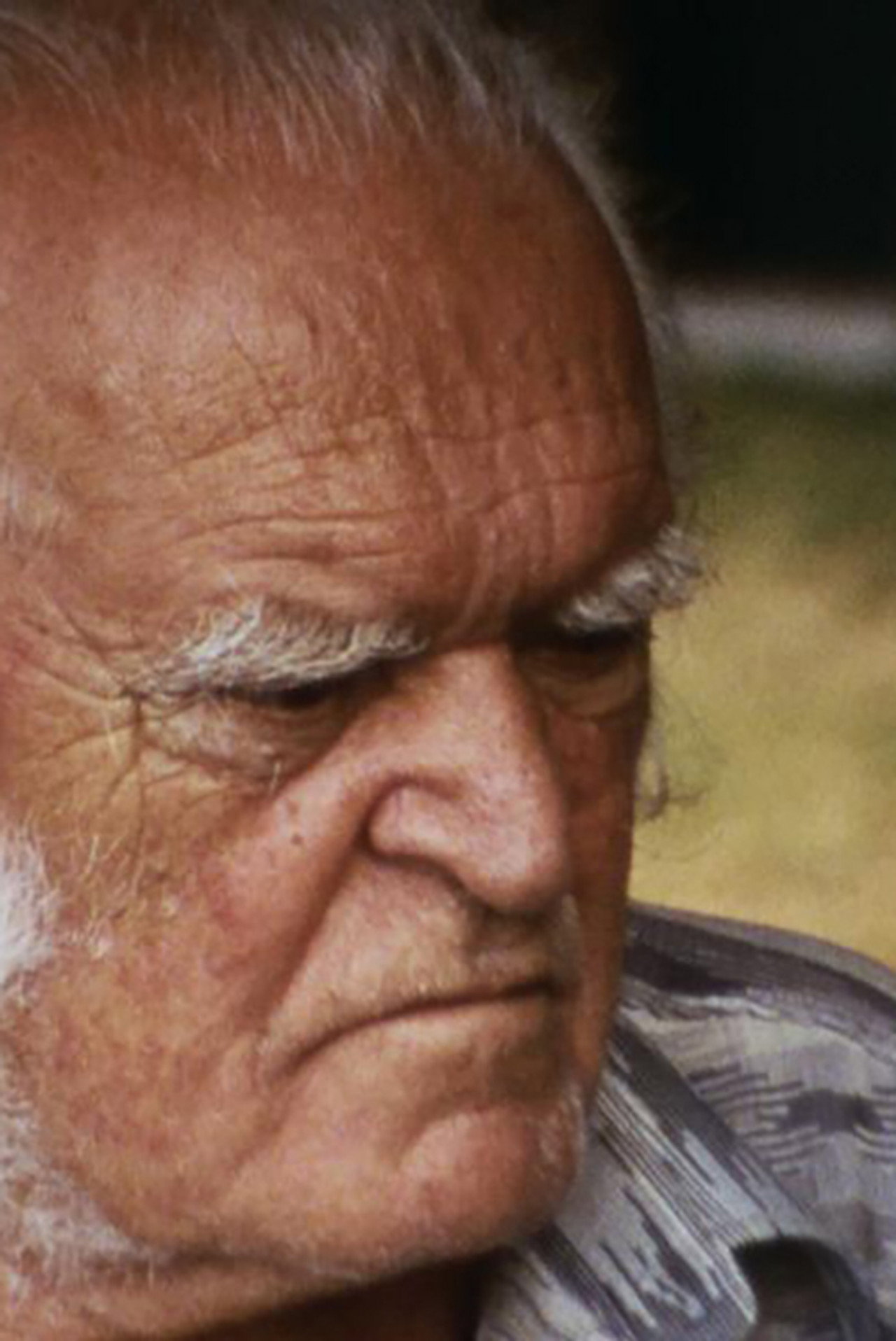 Mario Merz filmaffisch