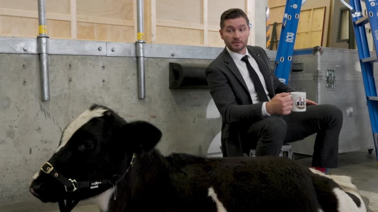 The Weekly with Charlie Pickering - Season 7 Episode 6 : Episode 6