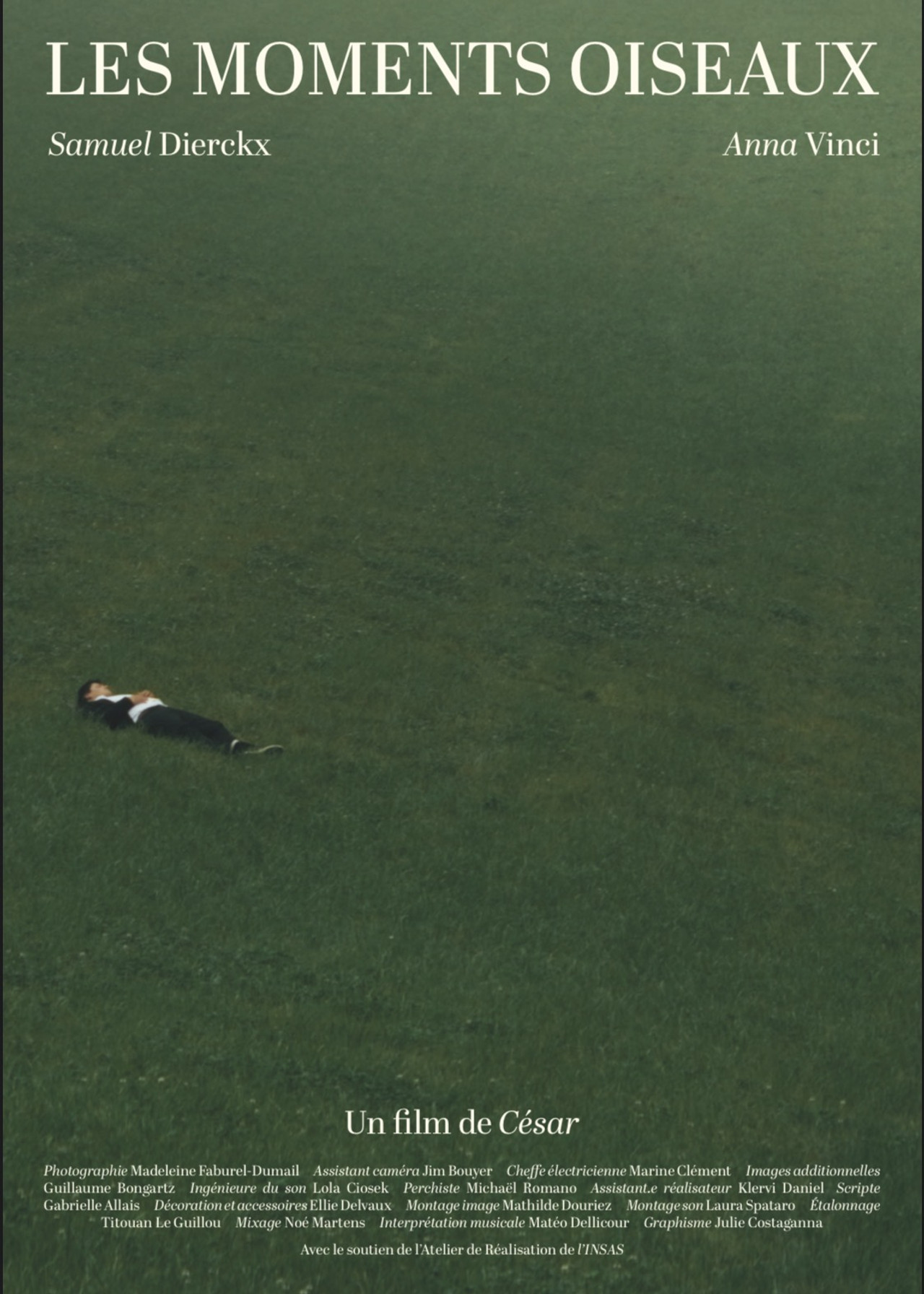 Les Moments Oiseaux Backdrop