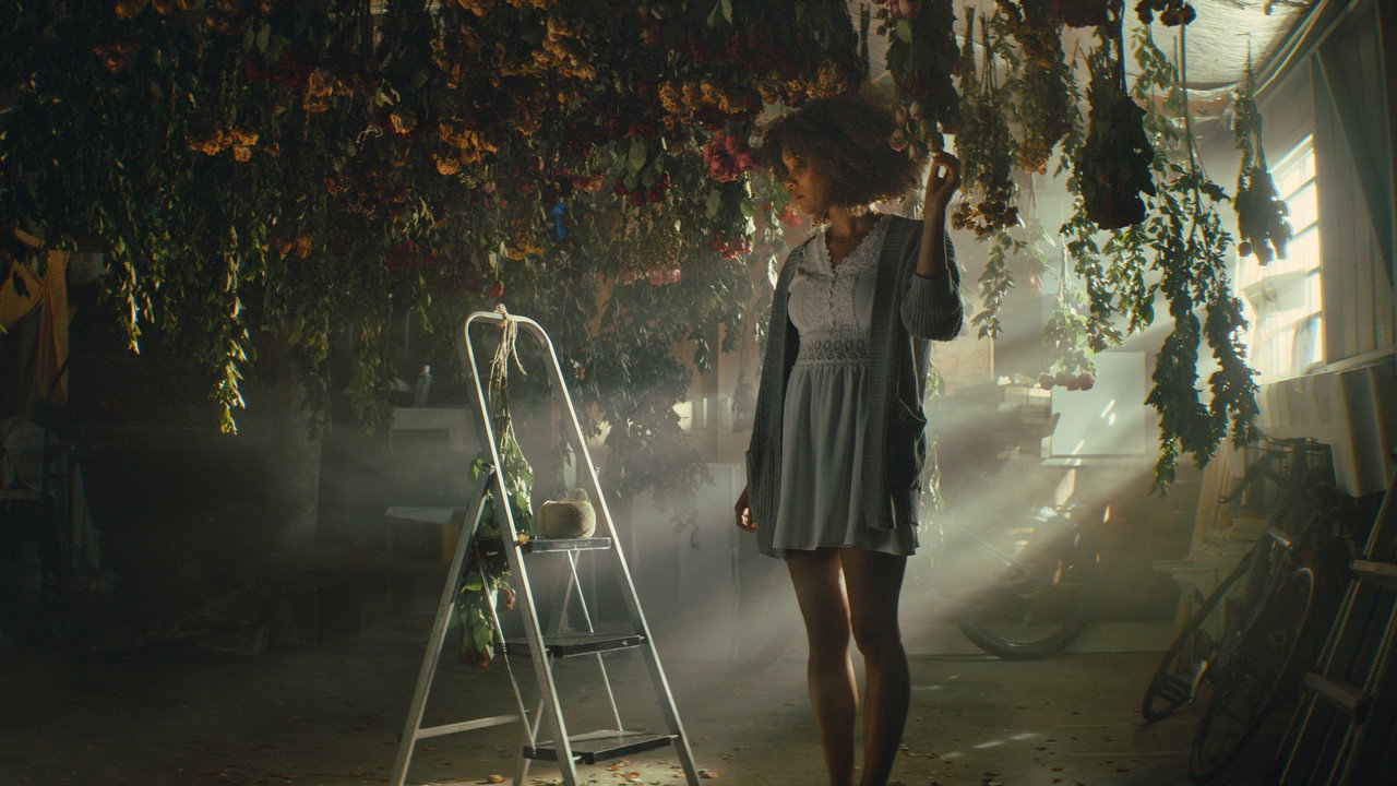 Backdrop for The Wilted Rose