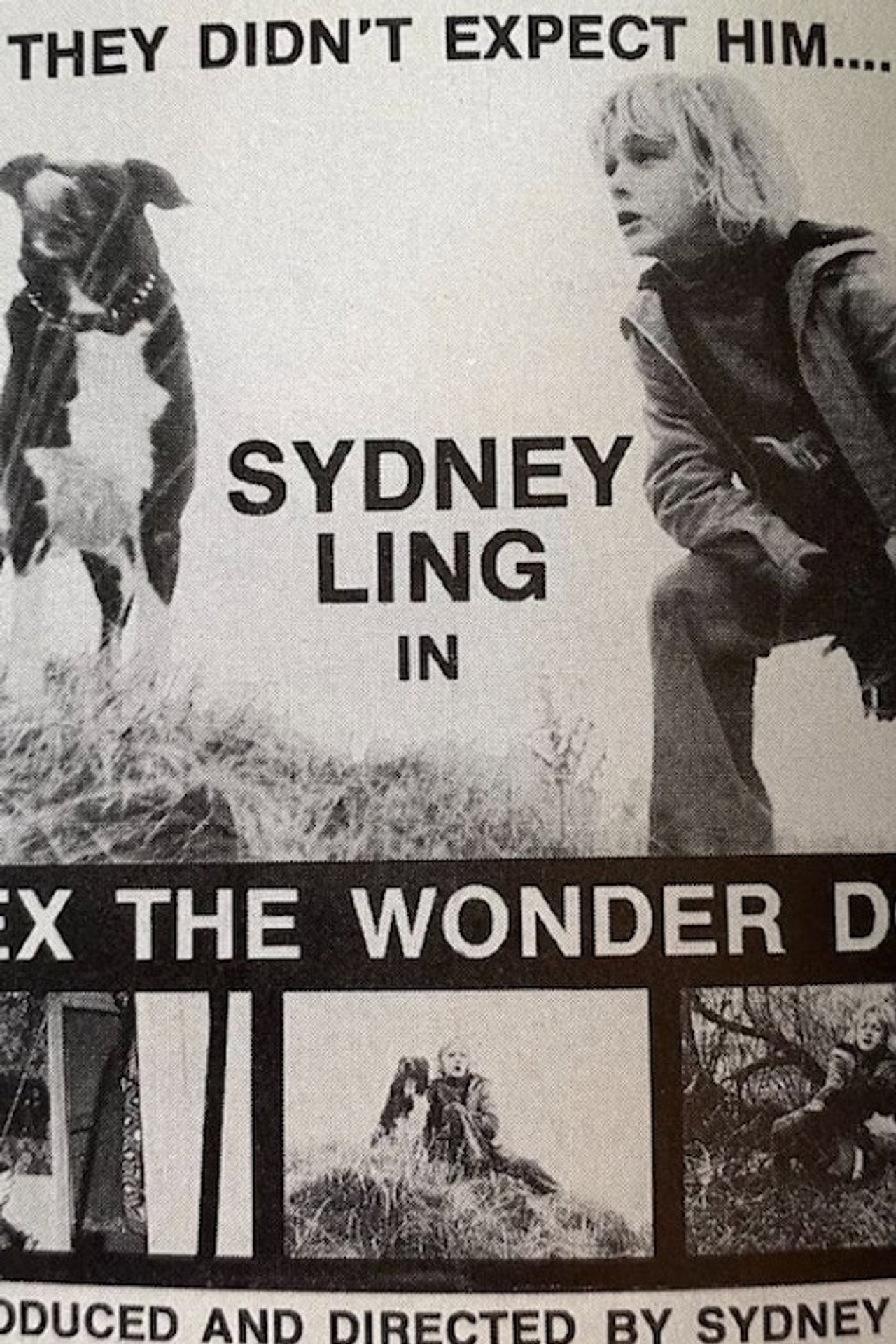 Lex, the Wonder Dog Backdrop