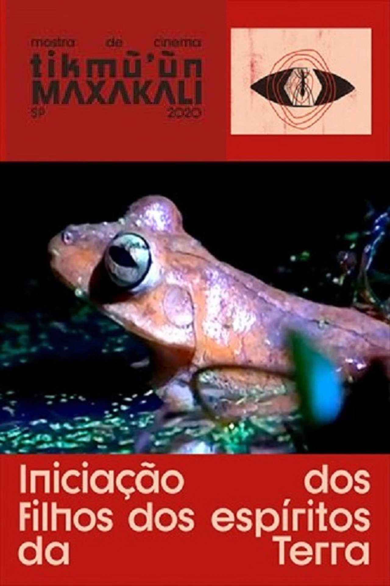 Iniciação dos Filhos dos Espíritos da Terra filmaffisch