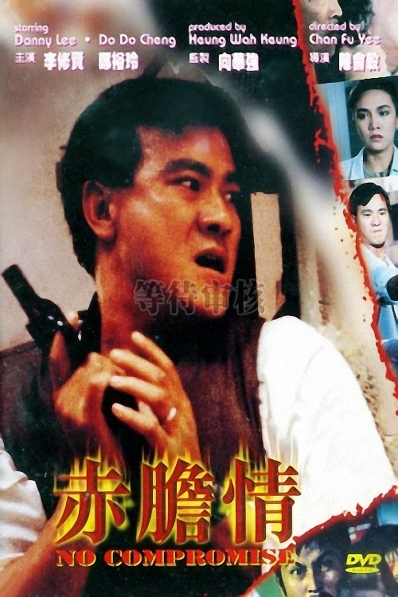 赤胆情 赤胆情