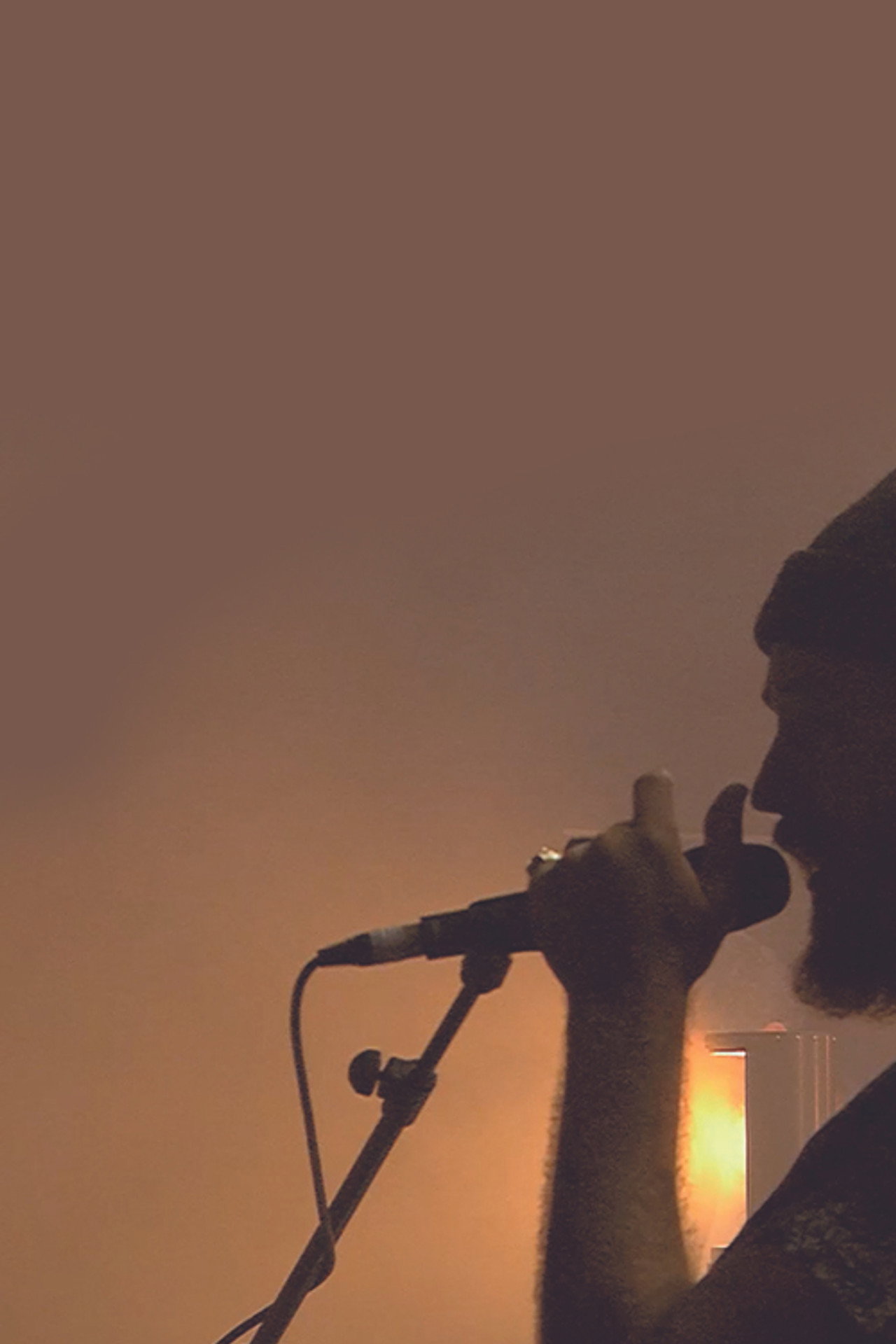 Howling - Sónar Festival filmaffisch