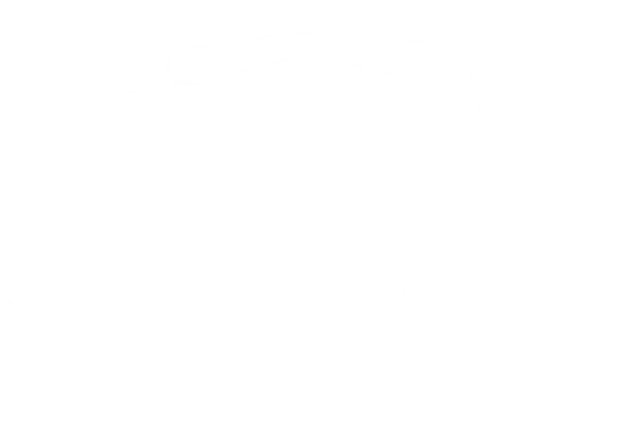 Encanto at the Hollywood Bowl