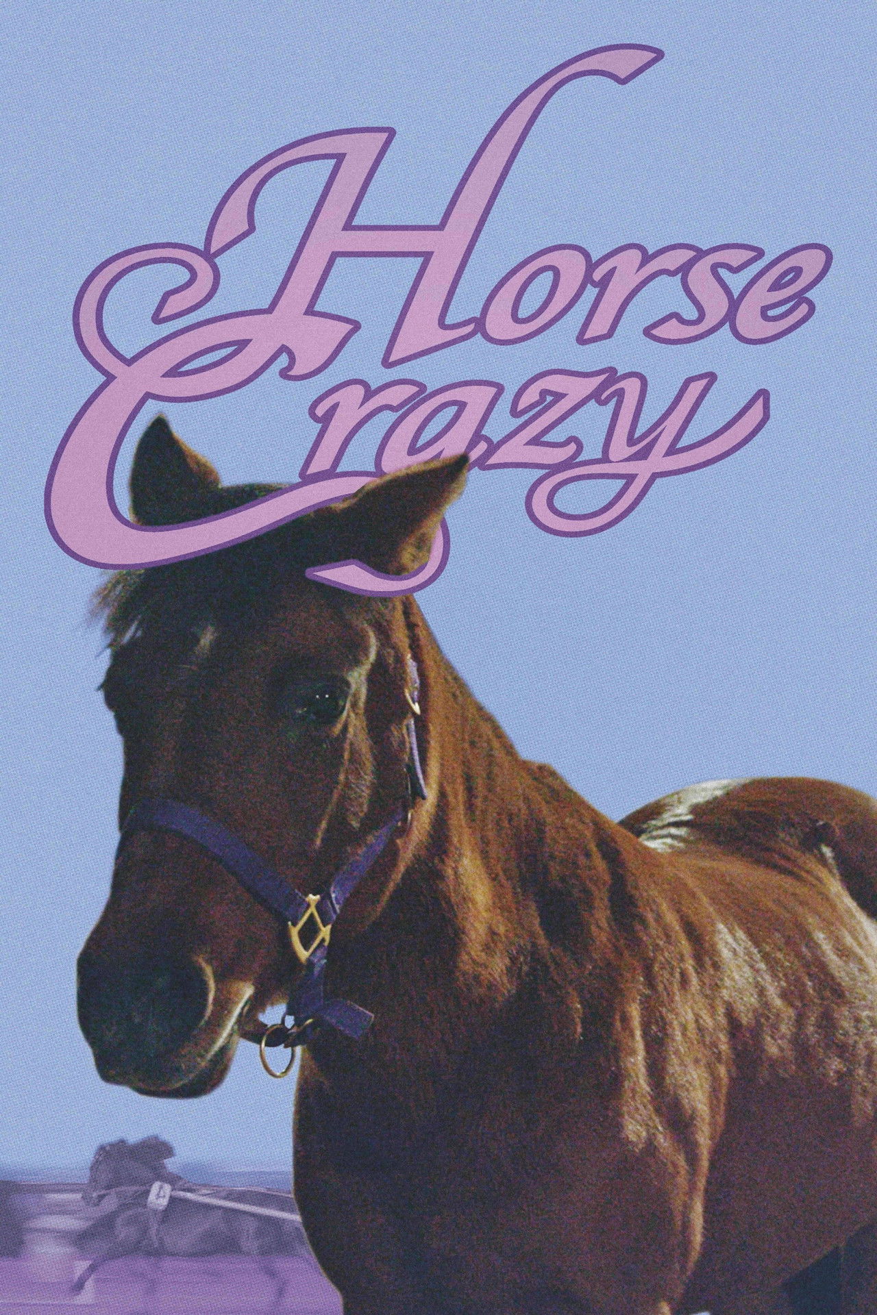 Horse Crazy Backdrop