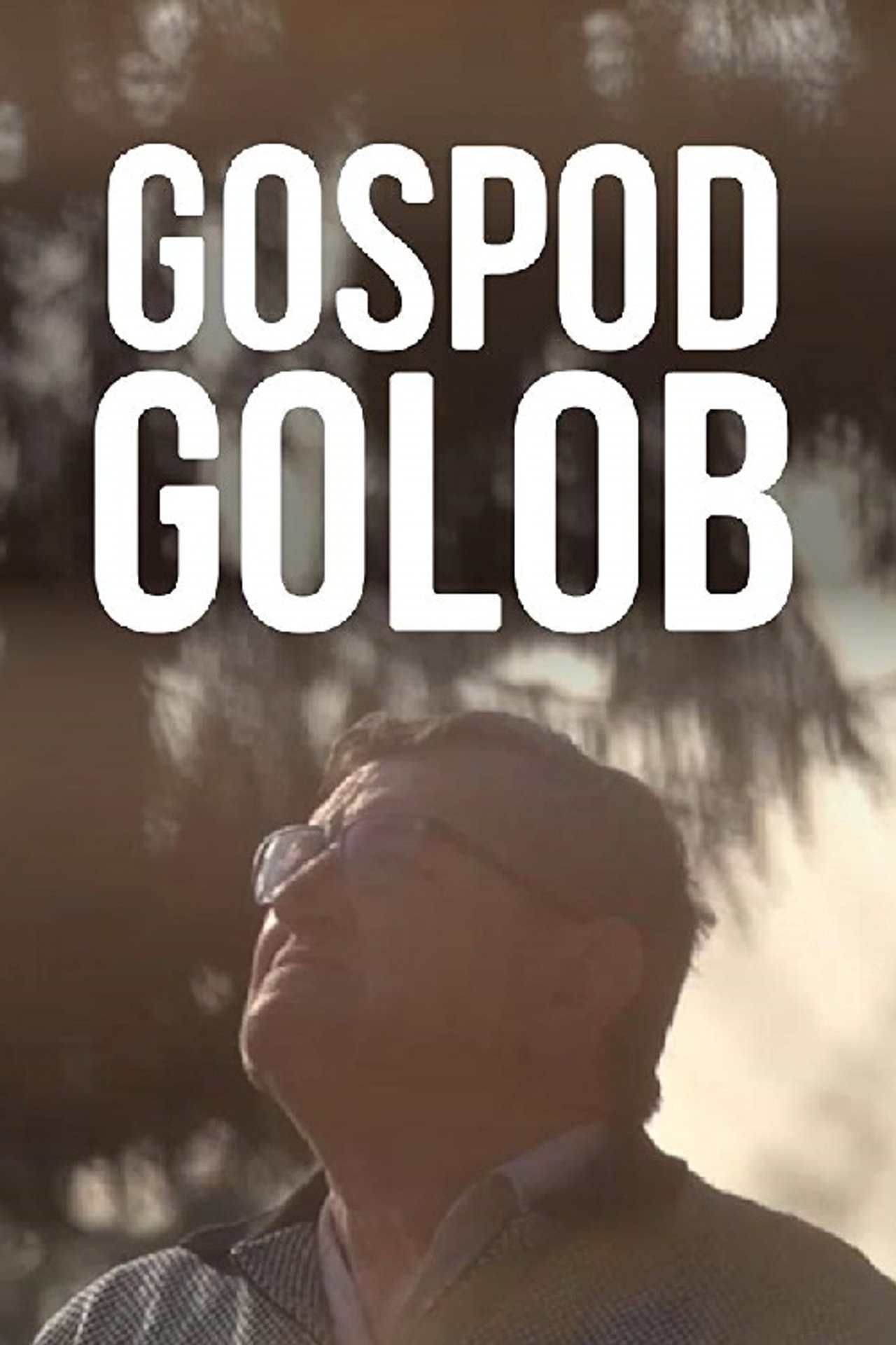 Gospod Golob filmaffisch