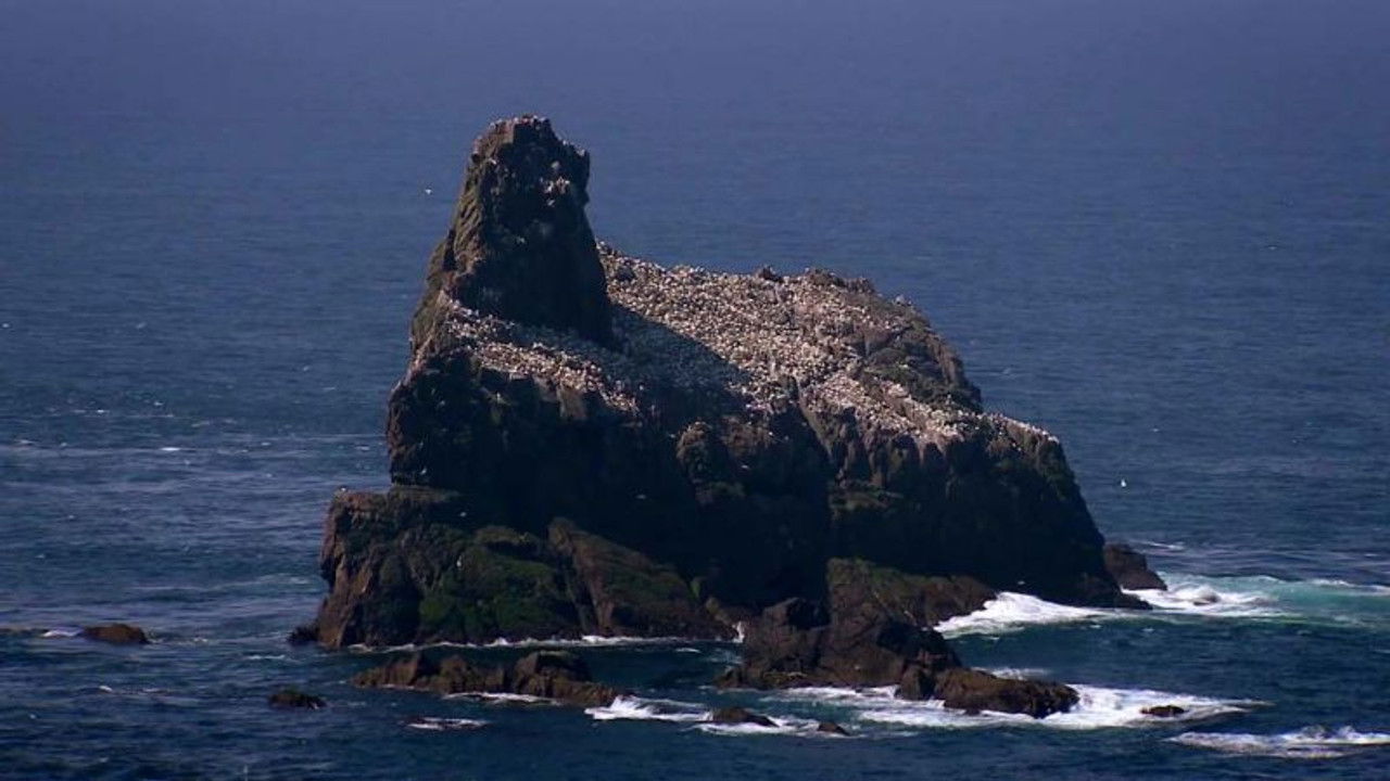 Life at the Ends of the Earth