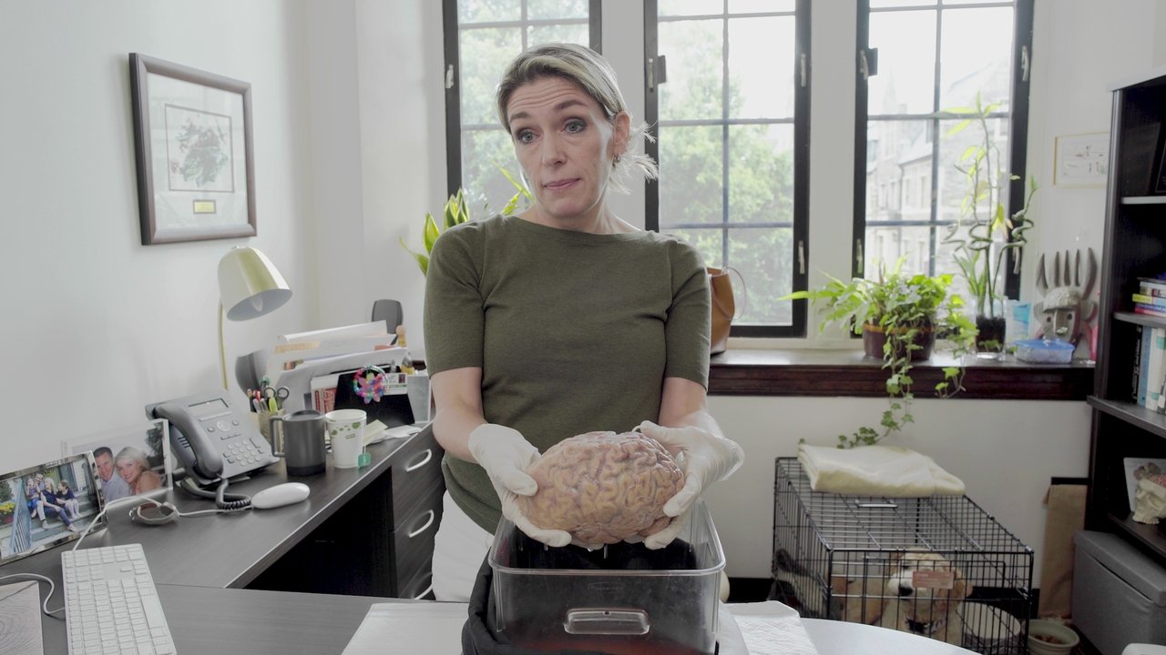 Confessions of a Good Samaritan