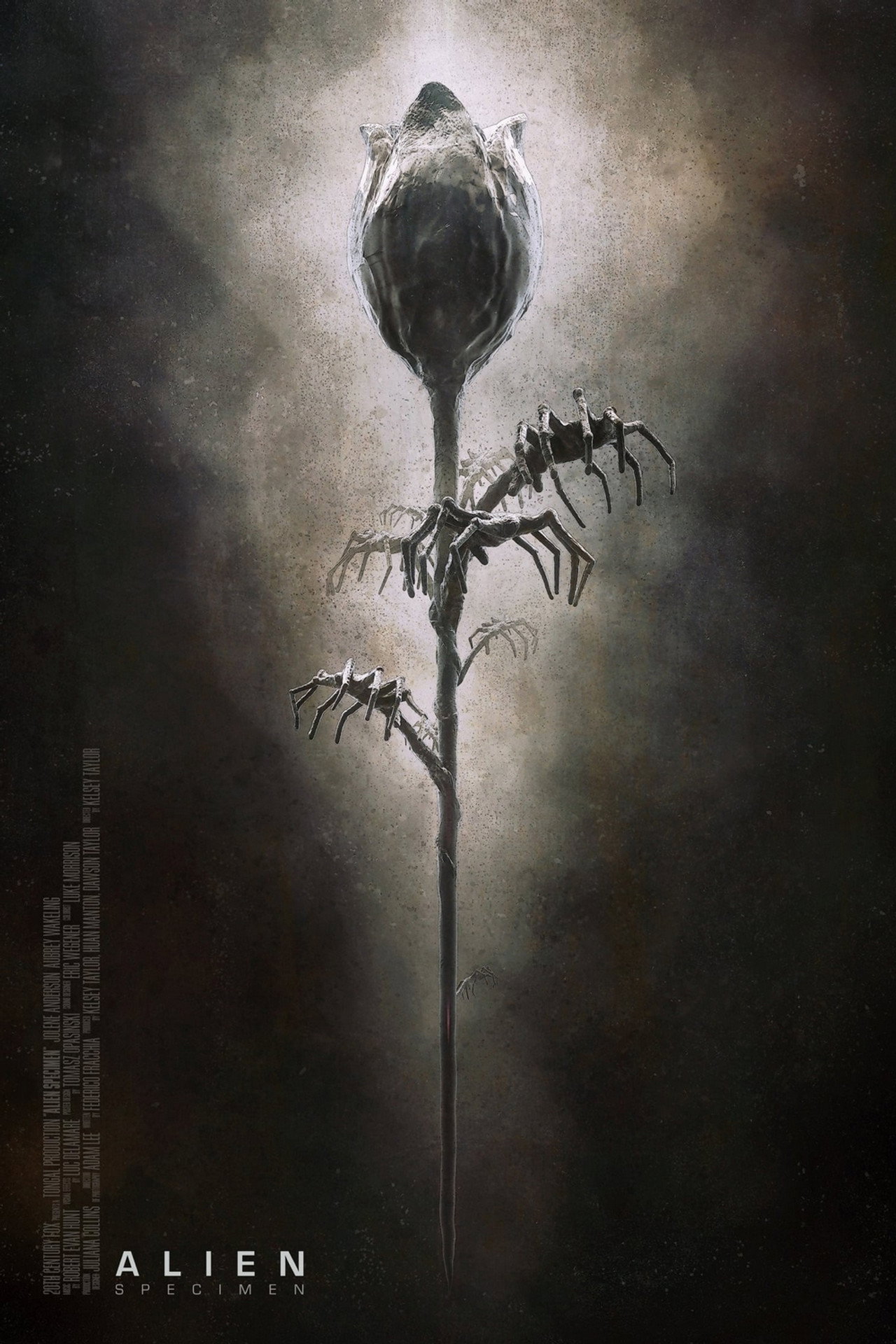 Alien: Mintapéldány – plakát 4