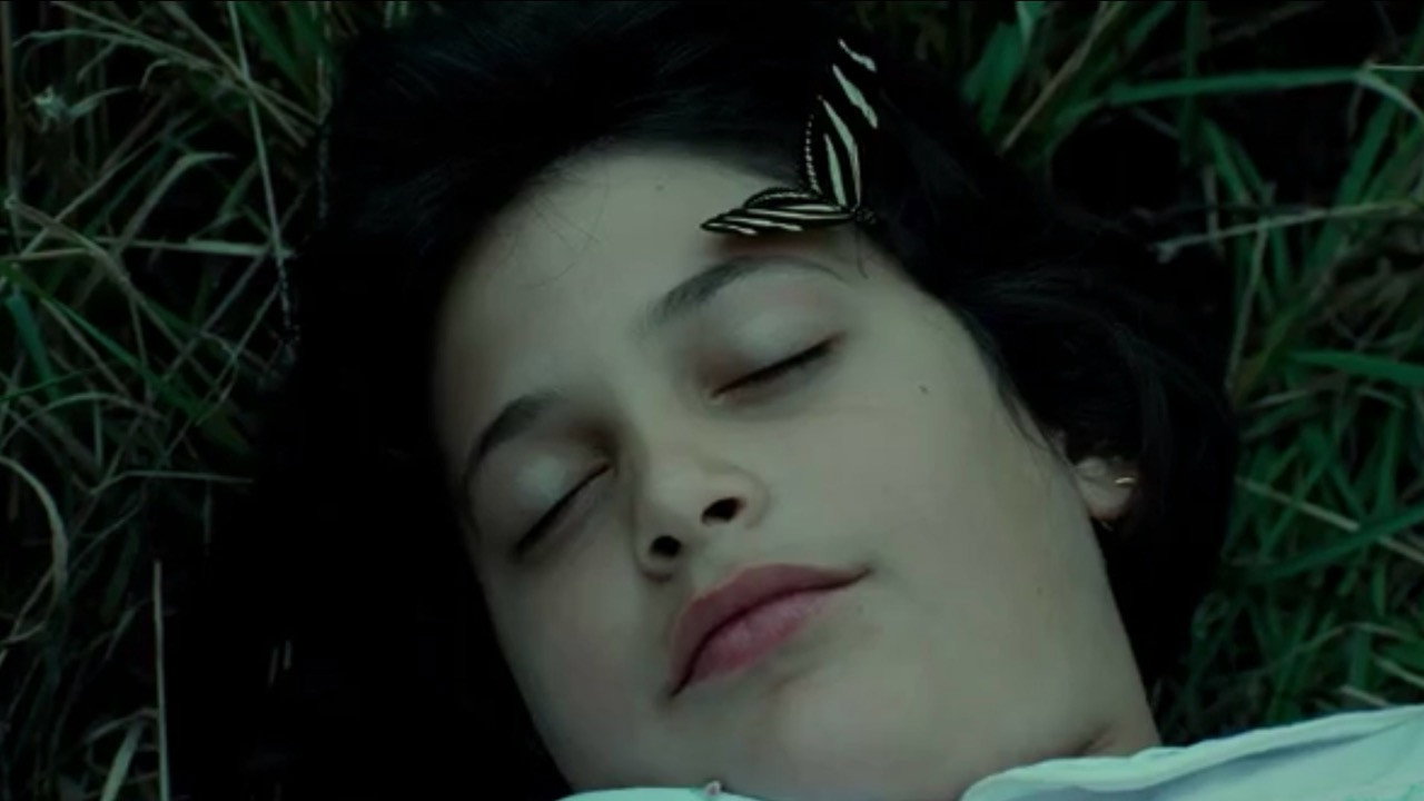 And the Little Prince Said still 3