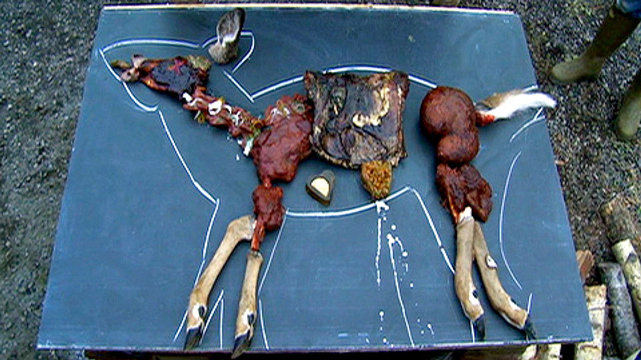 Martin sur la route — Épisode 3