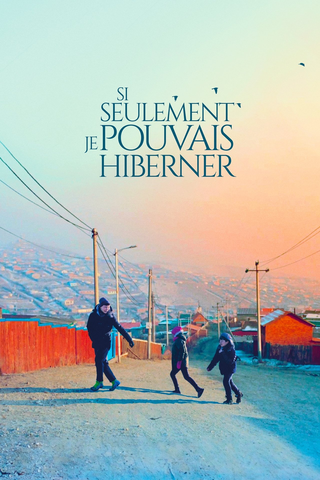 Si seulement je pouvais hiberner poster